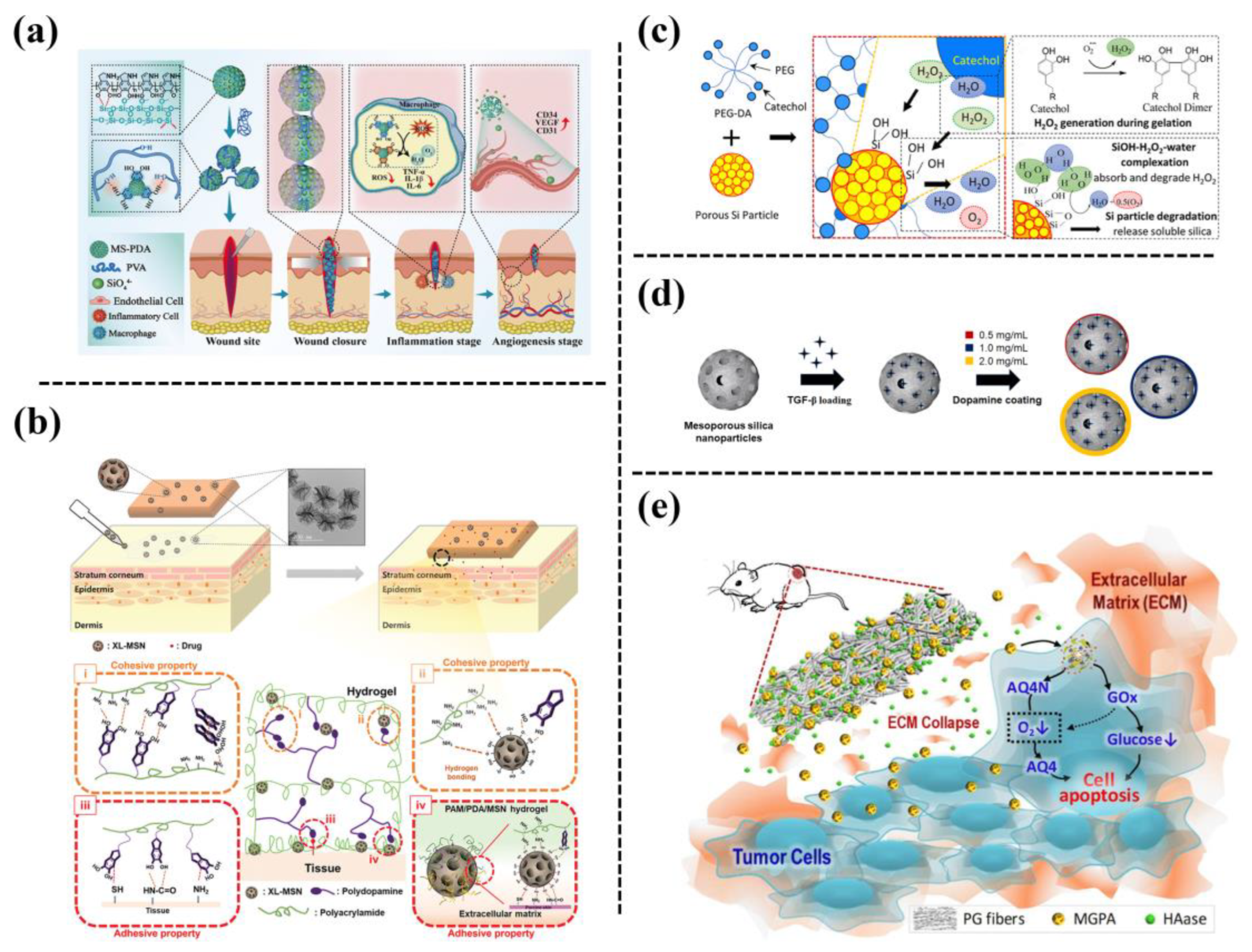 Biomimetics 08 00128 g003 Biomimetics 08 00128 g003