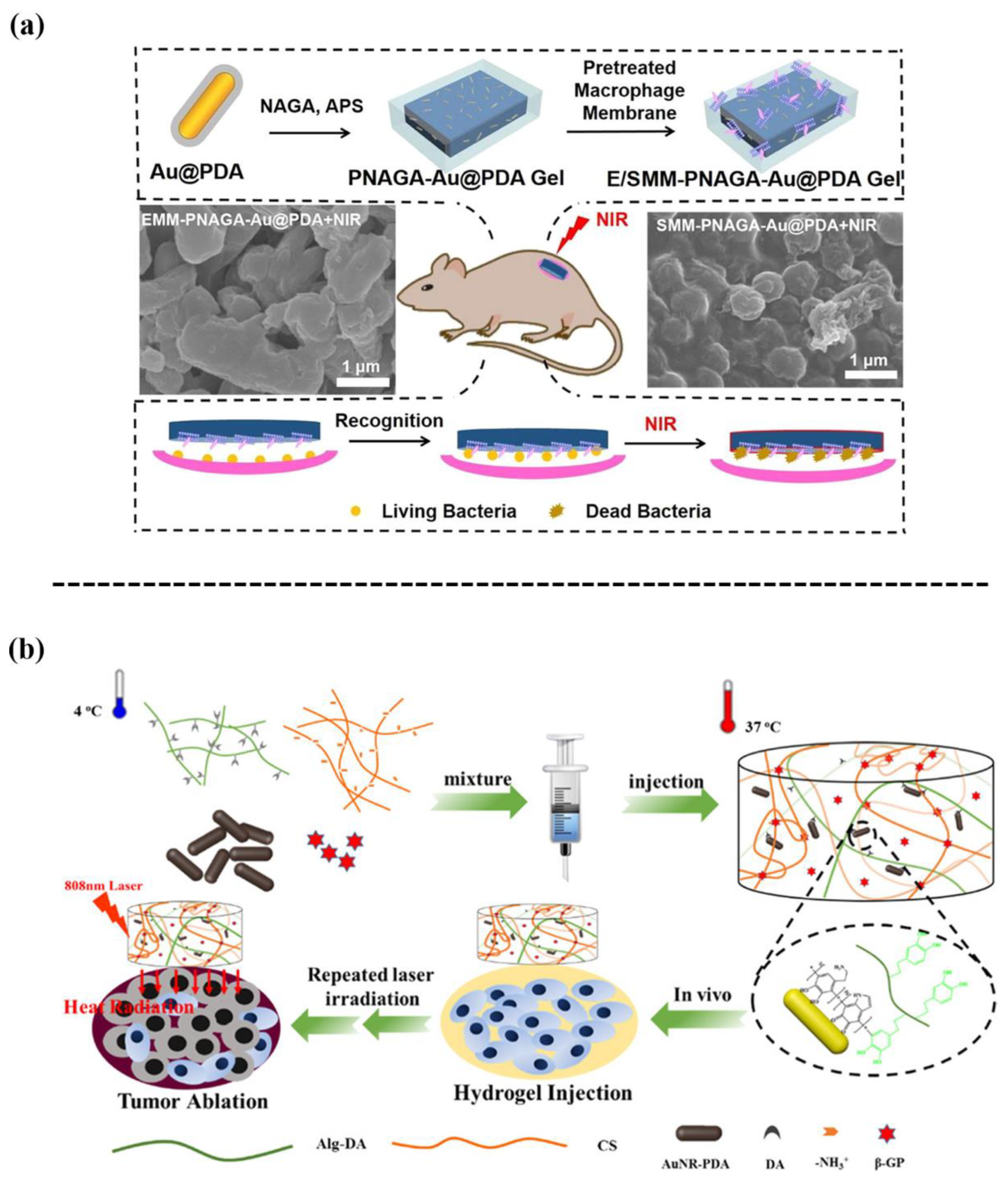 Biomimetics 08 00128 g012 Biomimetics 08 00128 g012