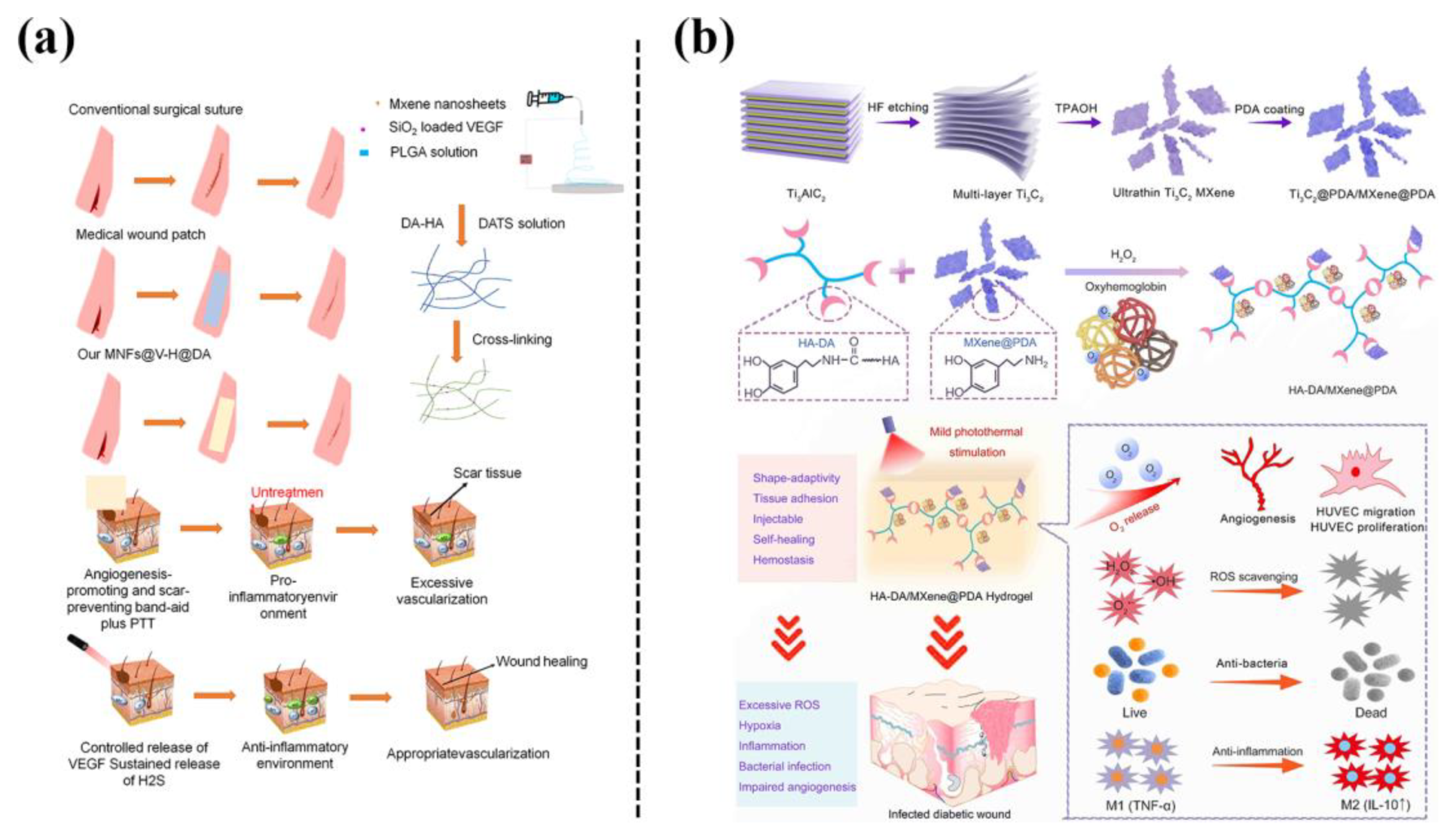 Biomimetics 08 00128 g021 Biomimetics 08 00128 g021