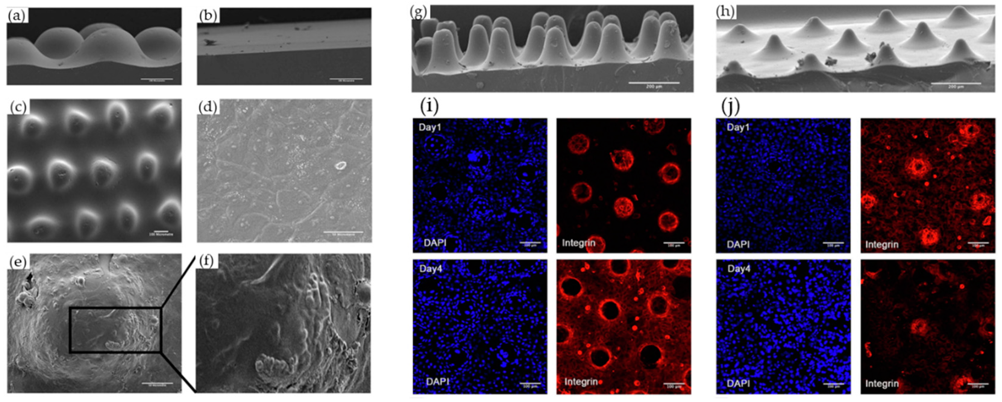 Biomimetics 08 00130 g005 Biomimetics 08 00130 g005
