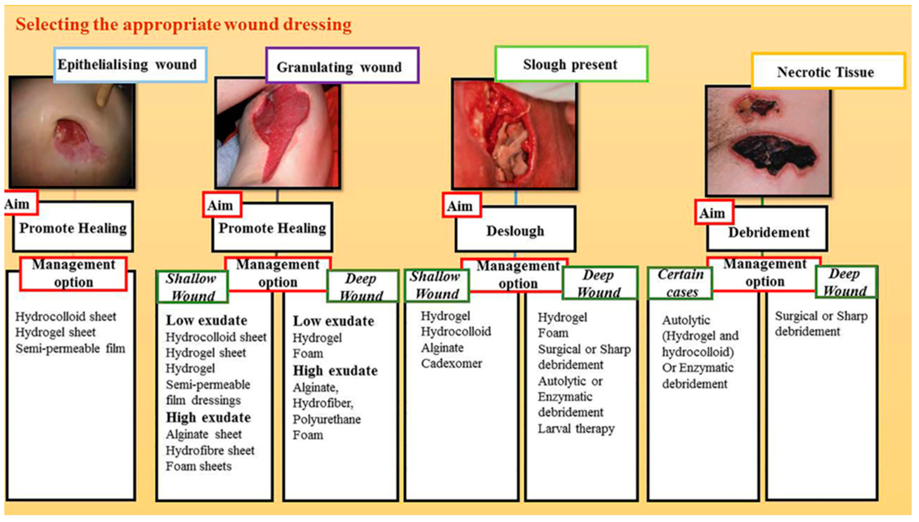 Biomimetics 08 00130 g006 Biomimetics 08 00130 g006