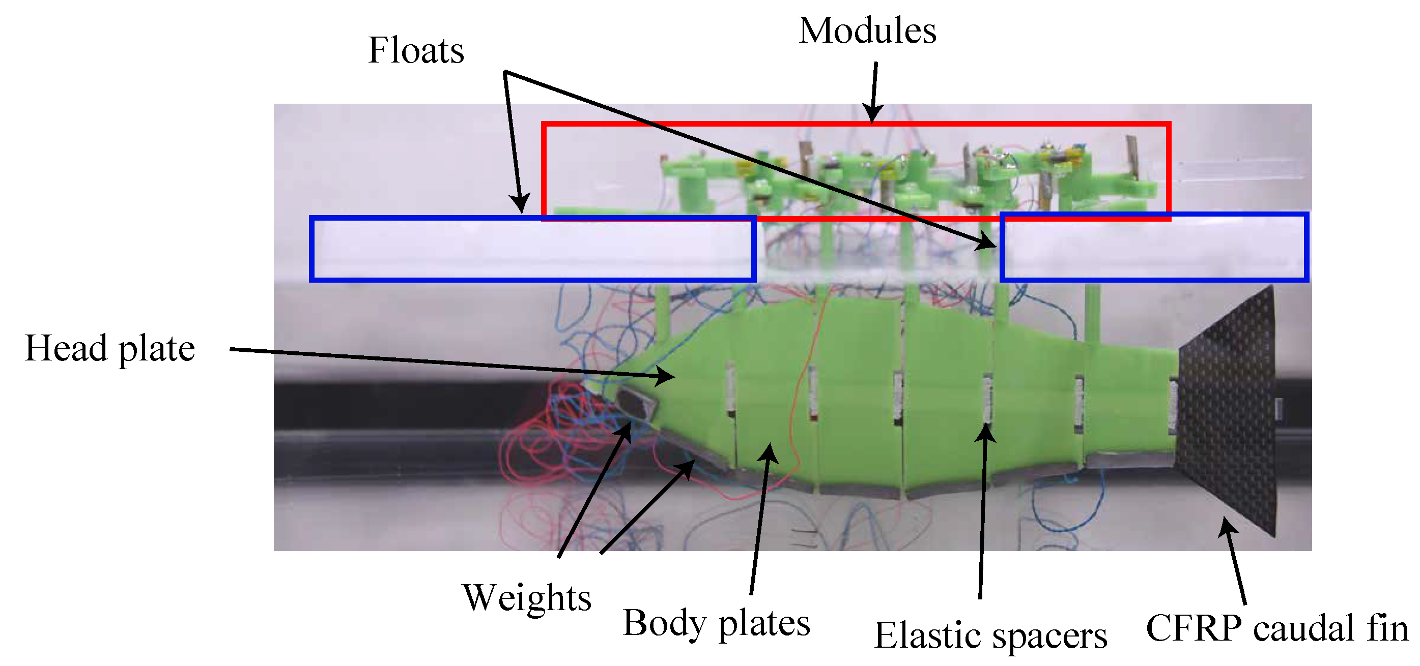 Biomimetics 08 00133 g011