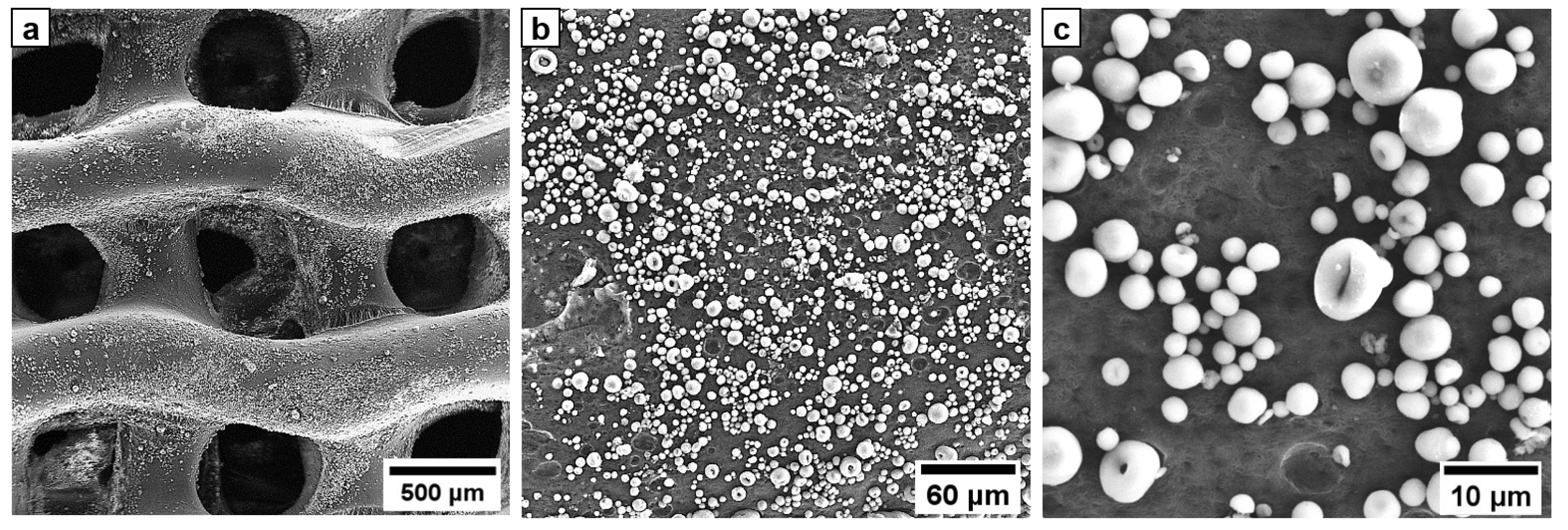 Biomimetics 08 00138 g003