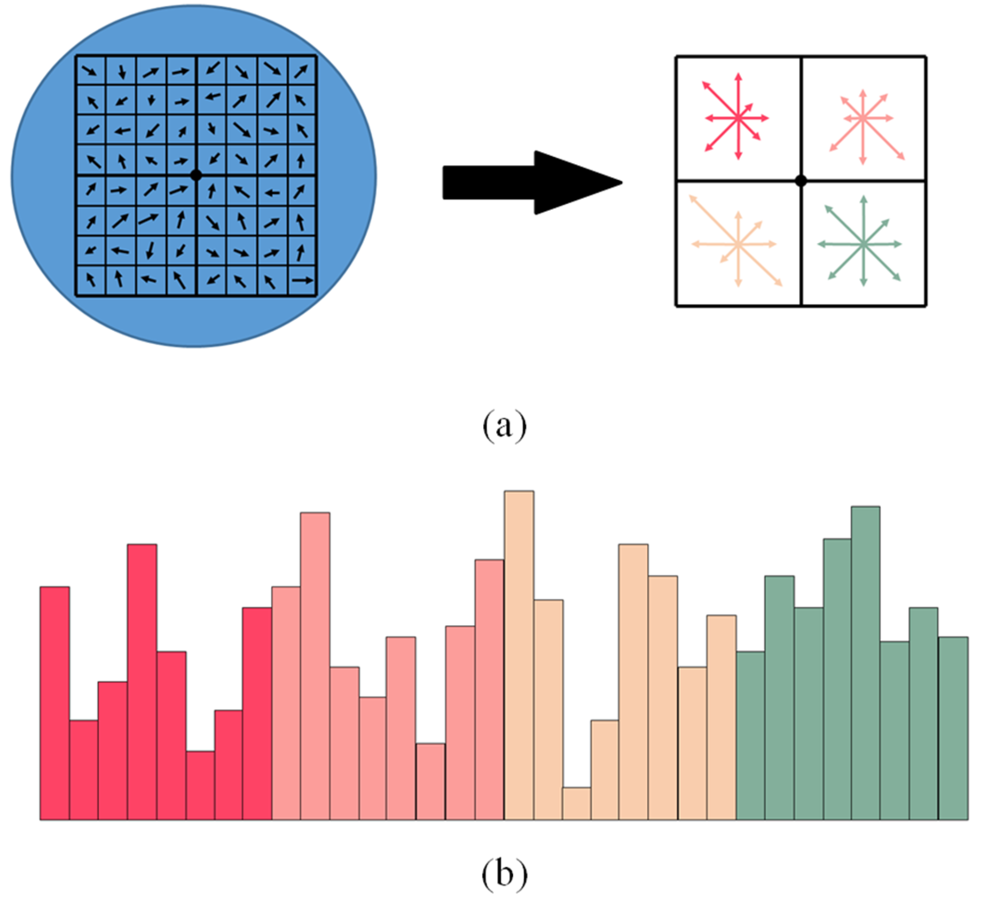 Biomimetics Free FullText Feature Extraction and Matching of