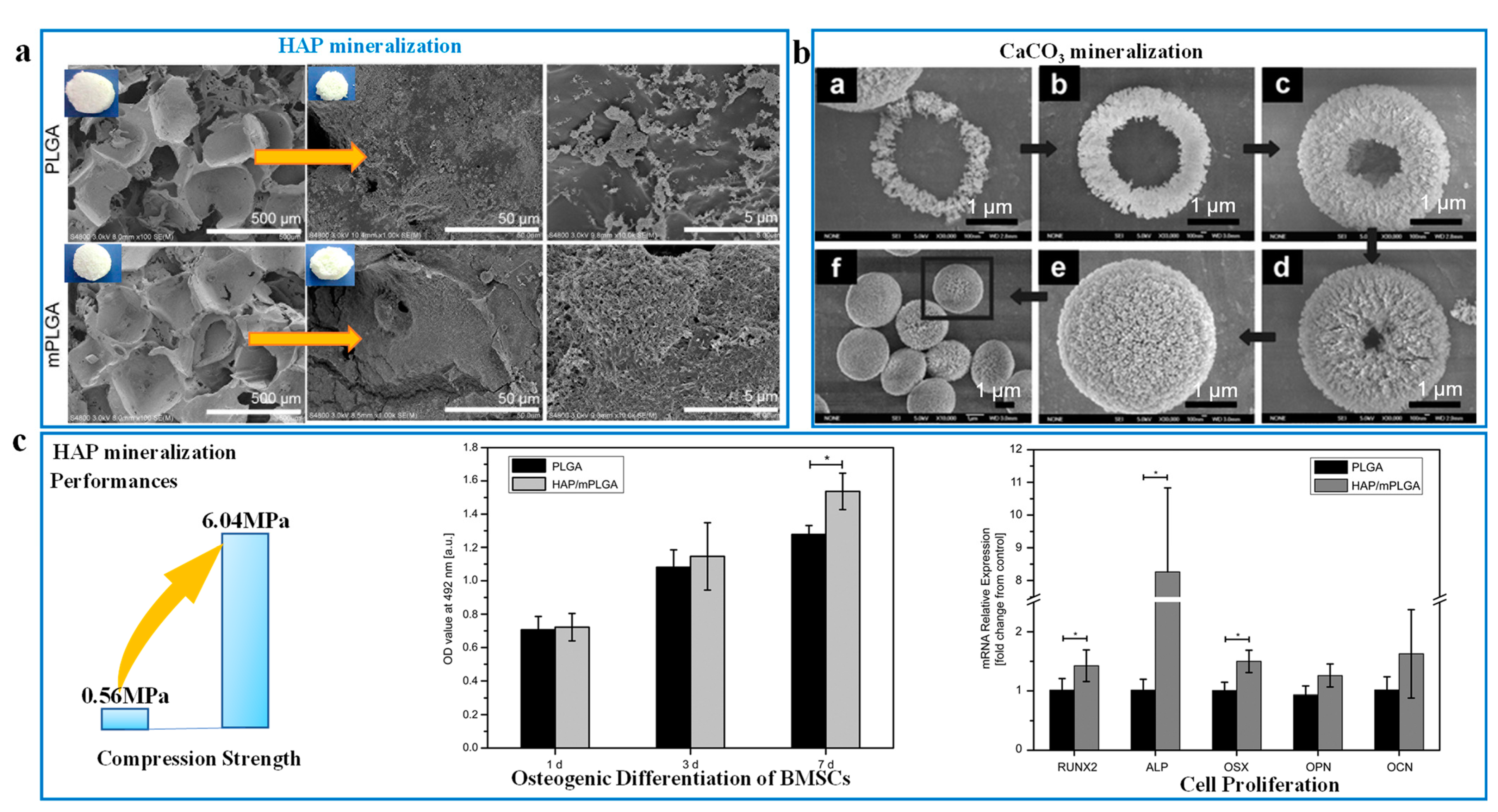 Biomimetics 08 00140 g003 Biomimetics 08 00140 g003