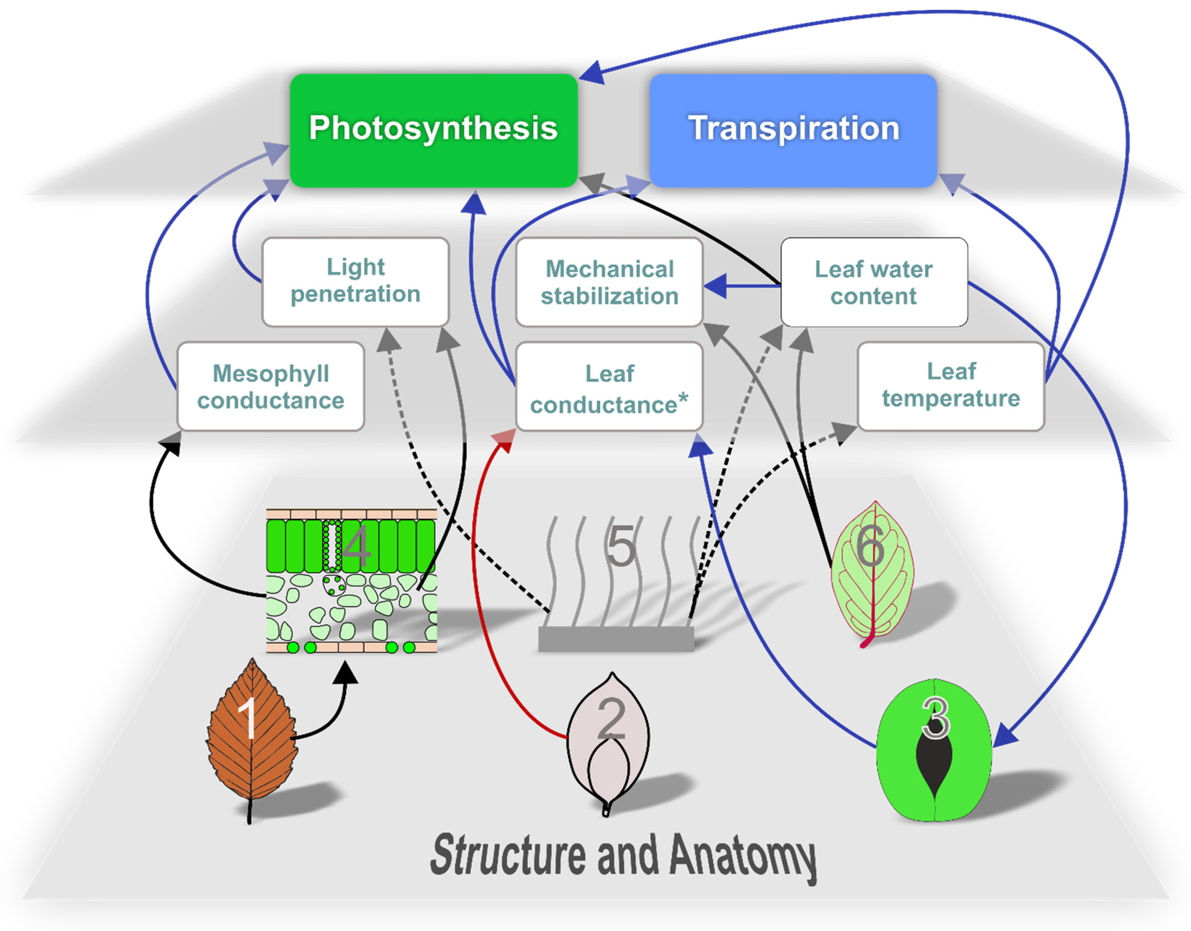 Biomimetics 08 00145 g012 Biomimetics 08 00145 g012