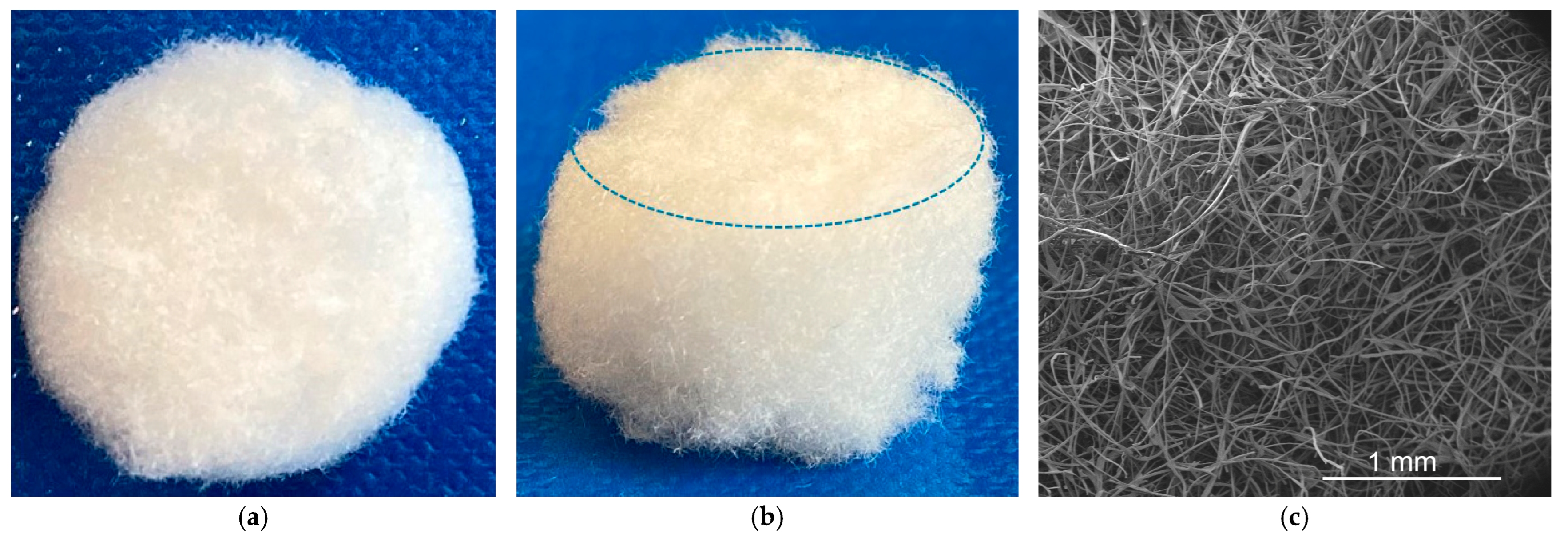 Biomimetics 08 00152 g004 Biomimetics 08 00152 g004