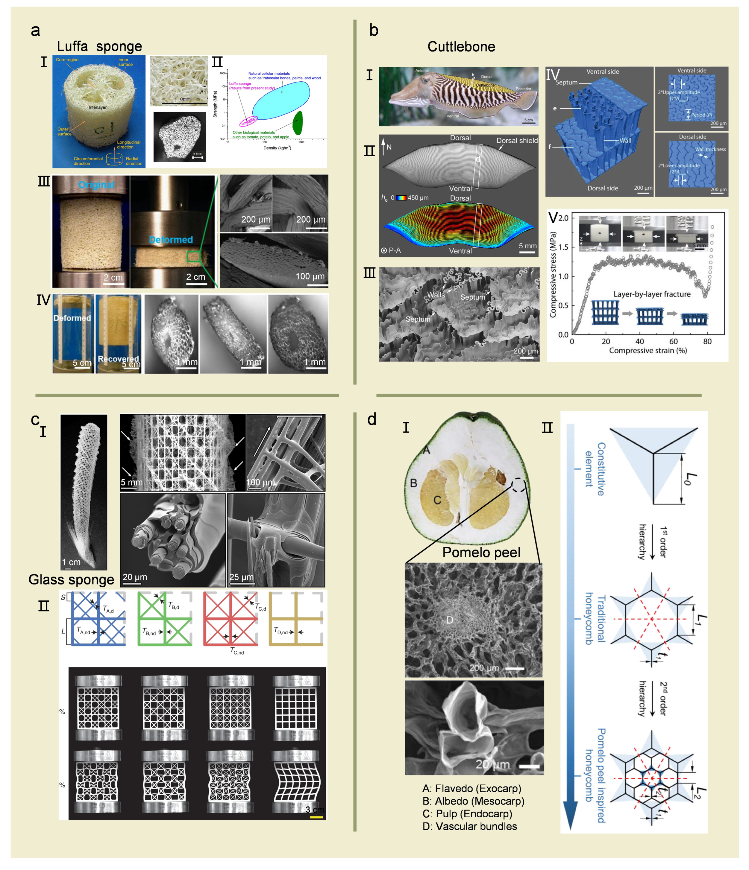 Biomimetics 08 00153 g002