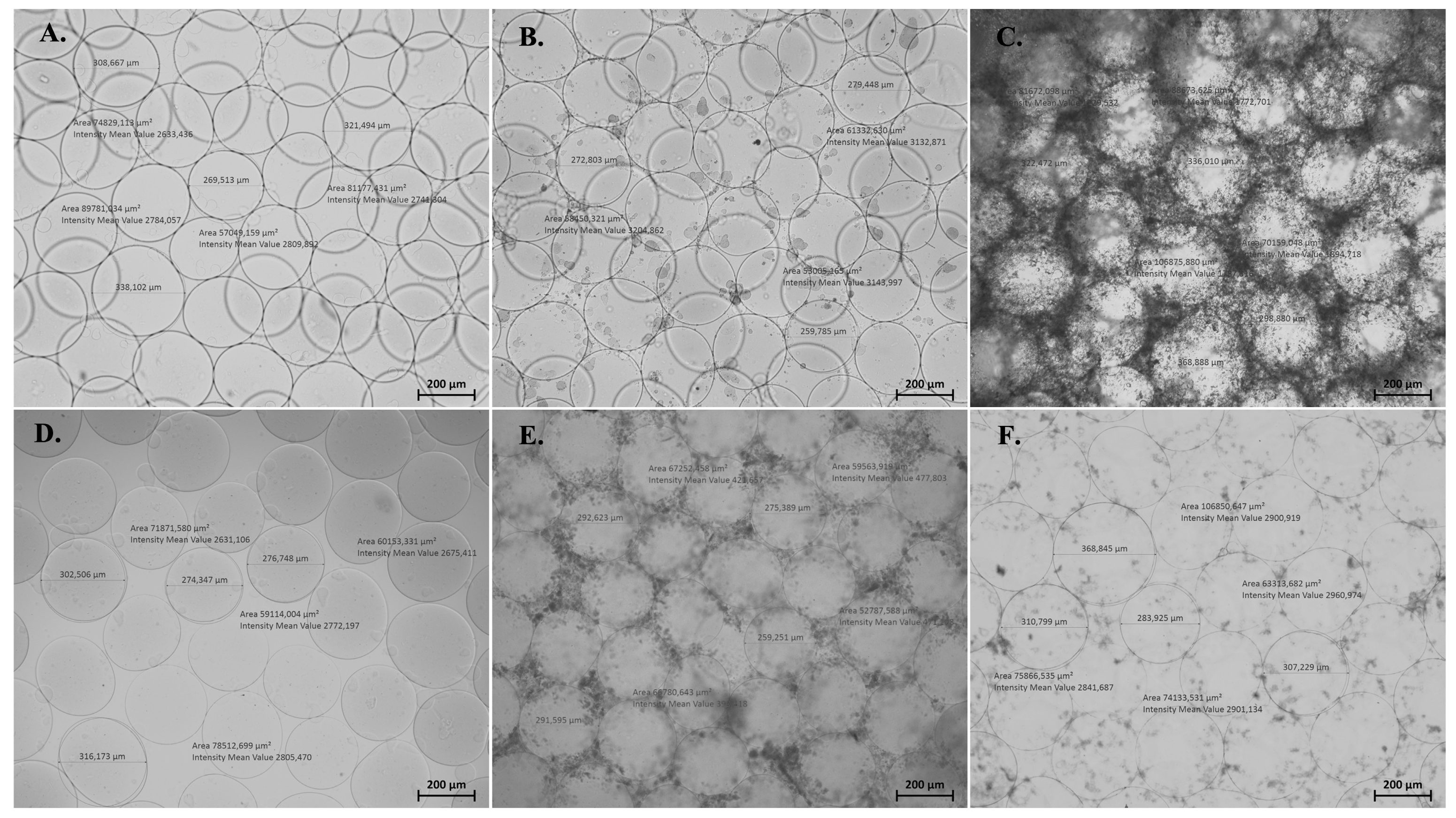 Biomimetics 08 00155 g004
