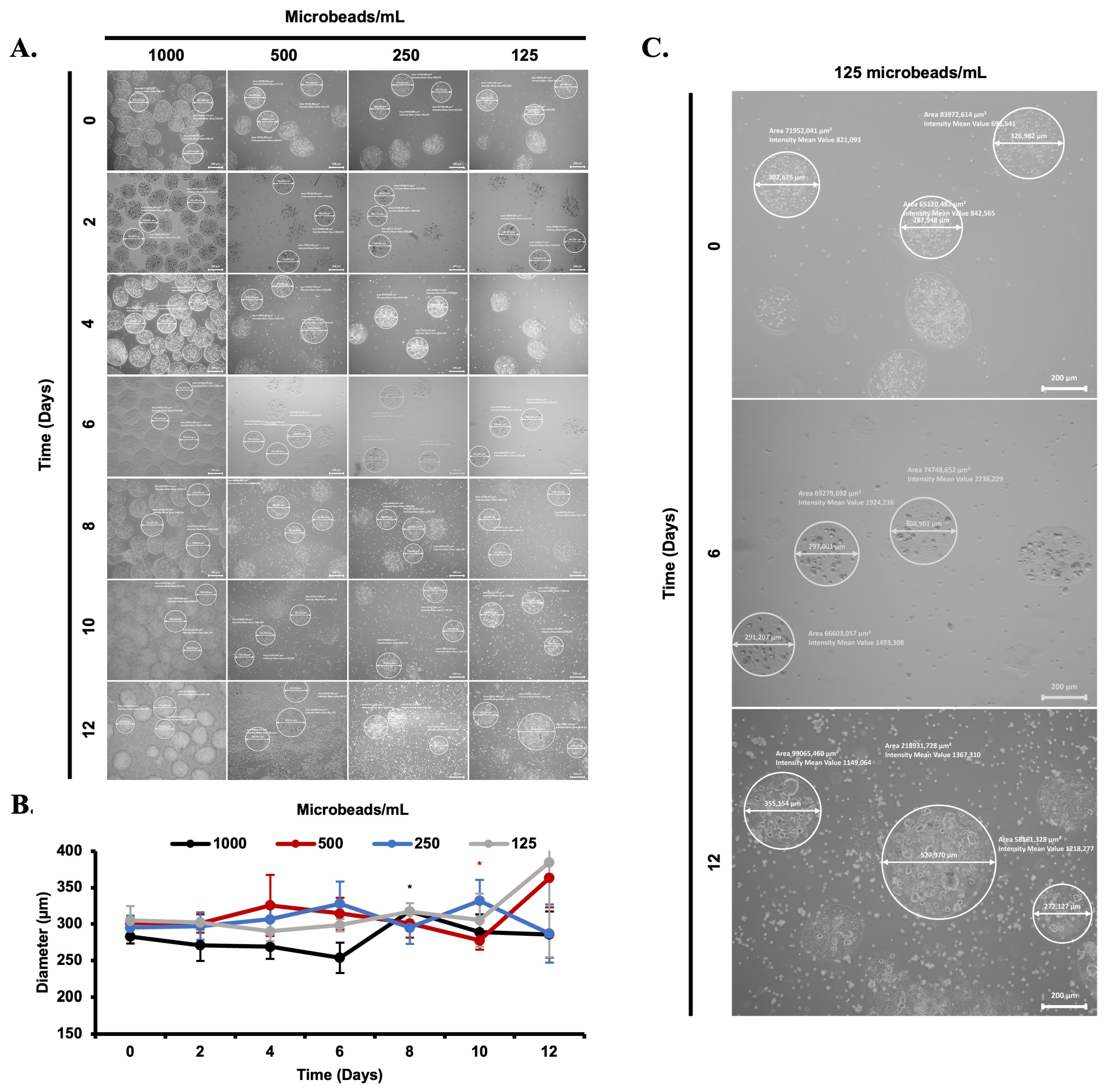 Biomimetics 08 00155 g005