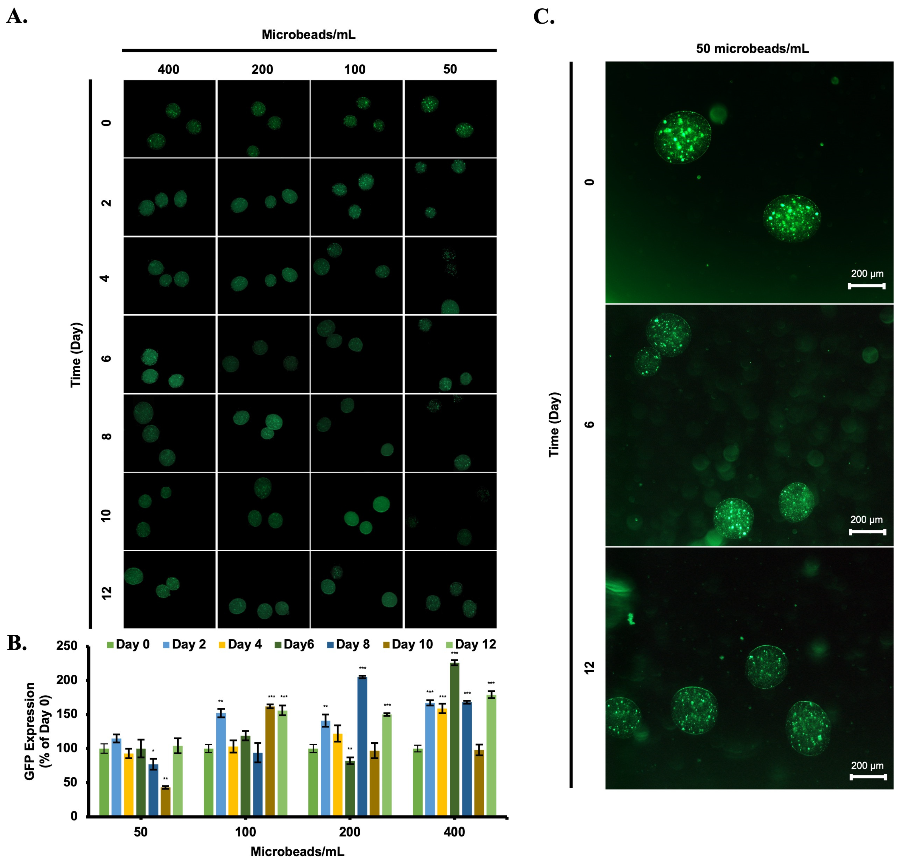 Biomimetics 08 00155 g007