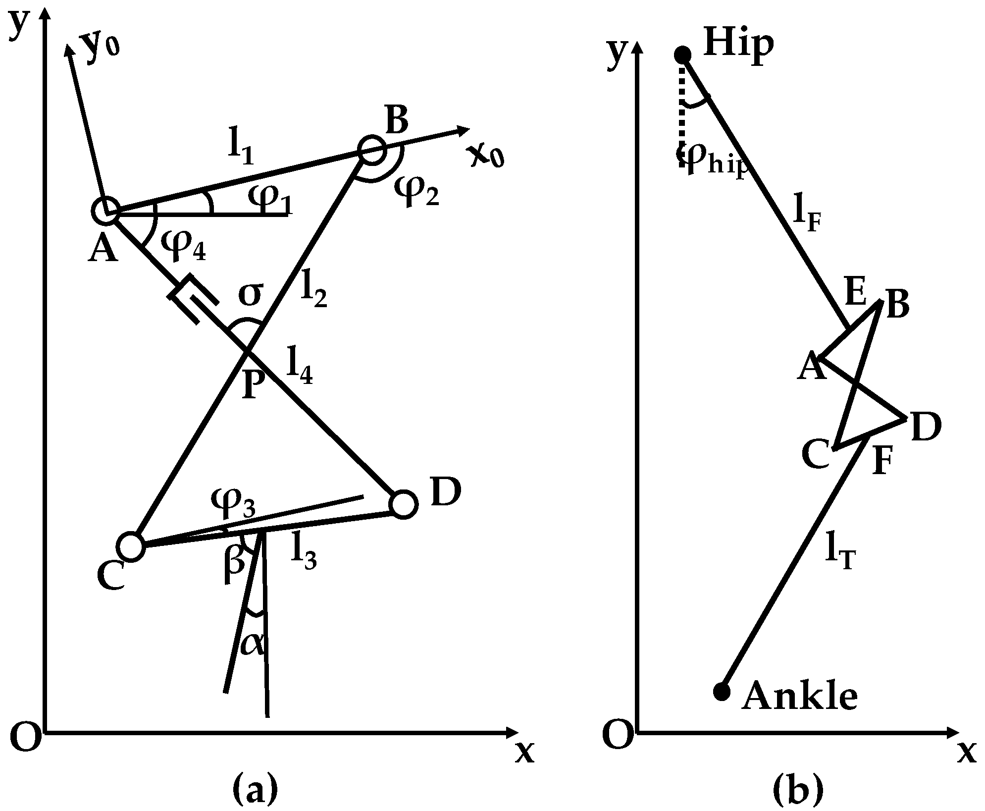 Biomimetics 08 00156 g003