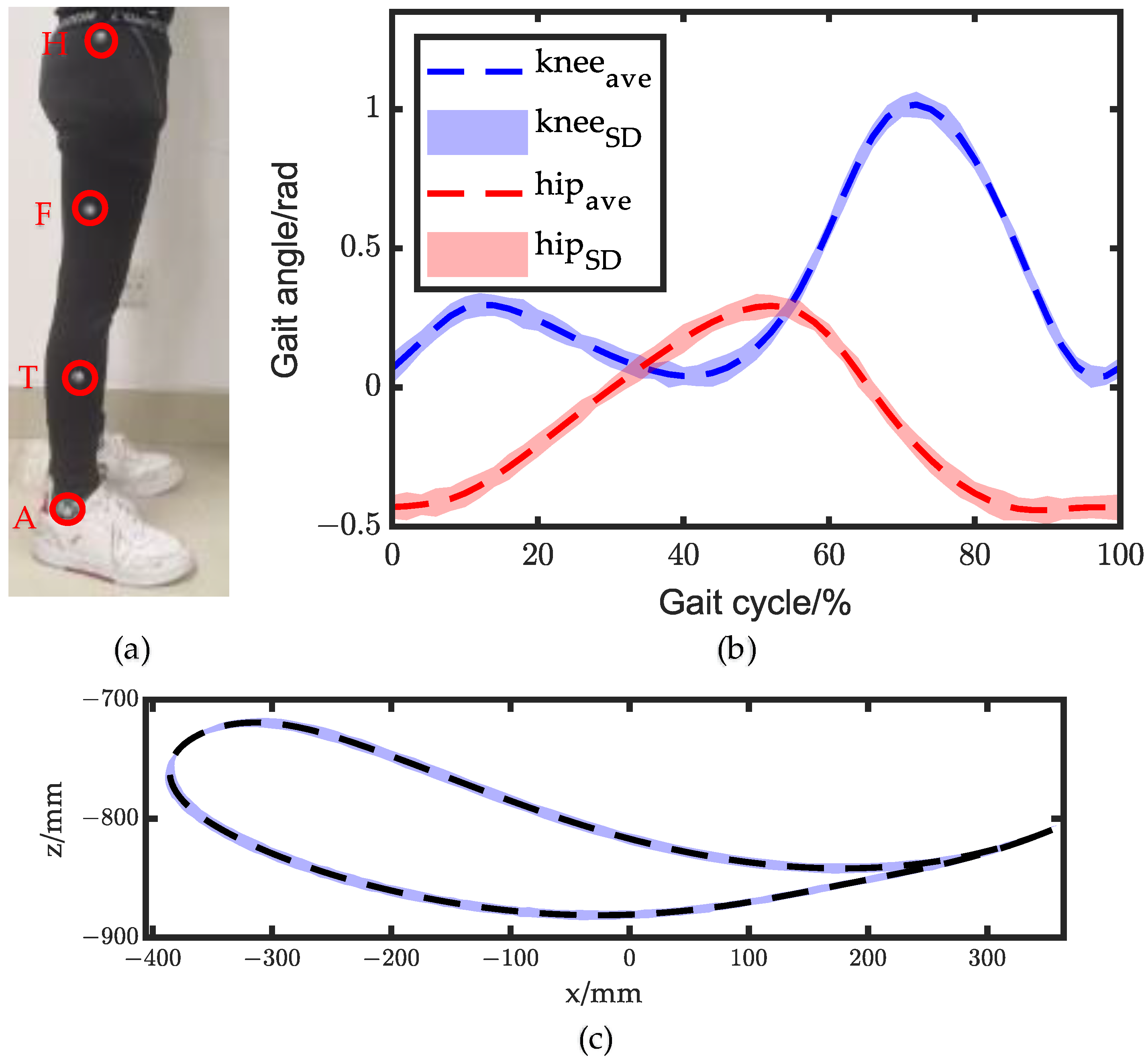 Biomimetics 08 00156 g006