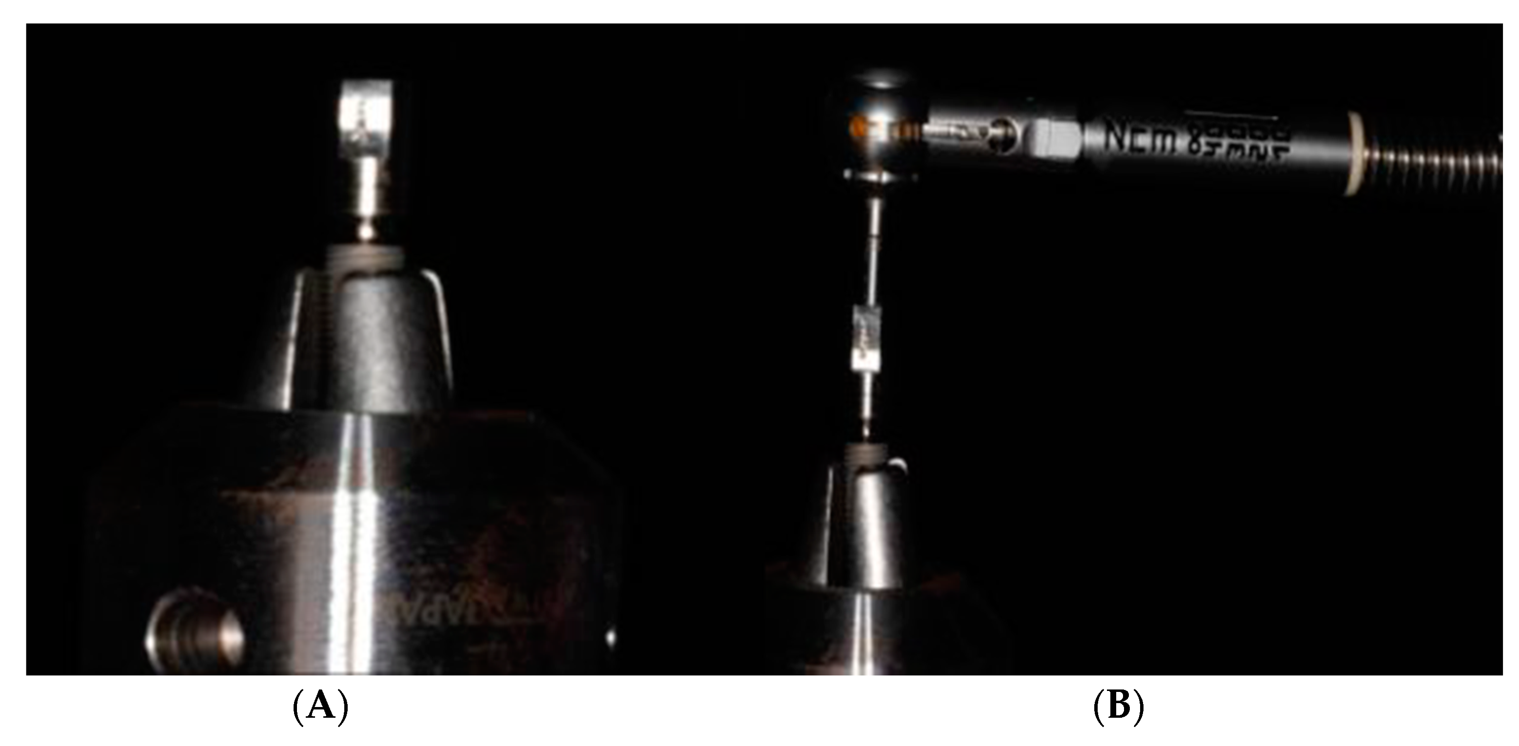 Biomimetics 08 00157 g002