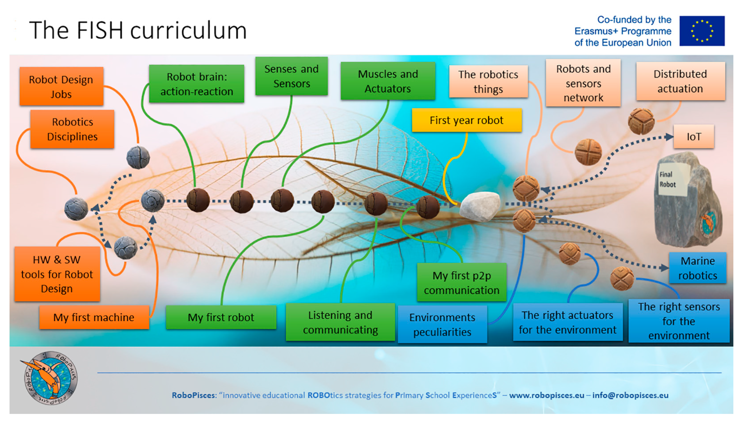 Biomimetics 08 00161 g005