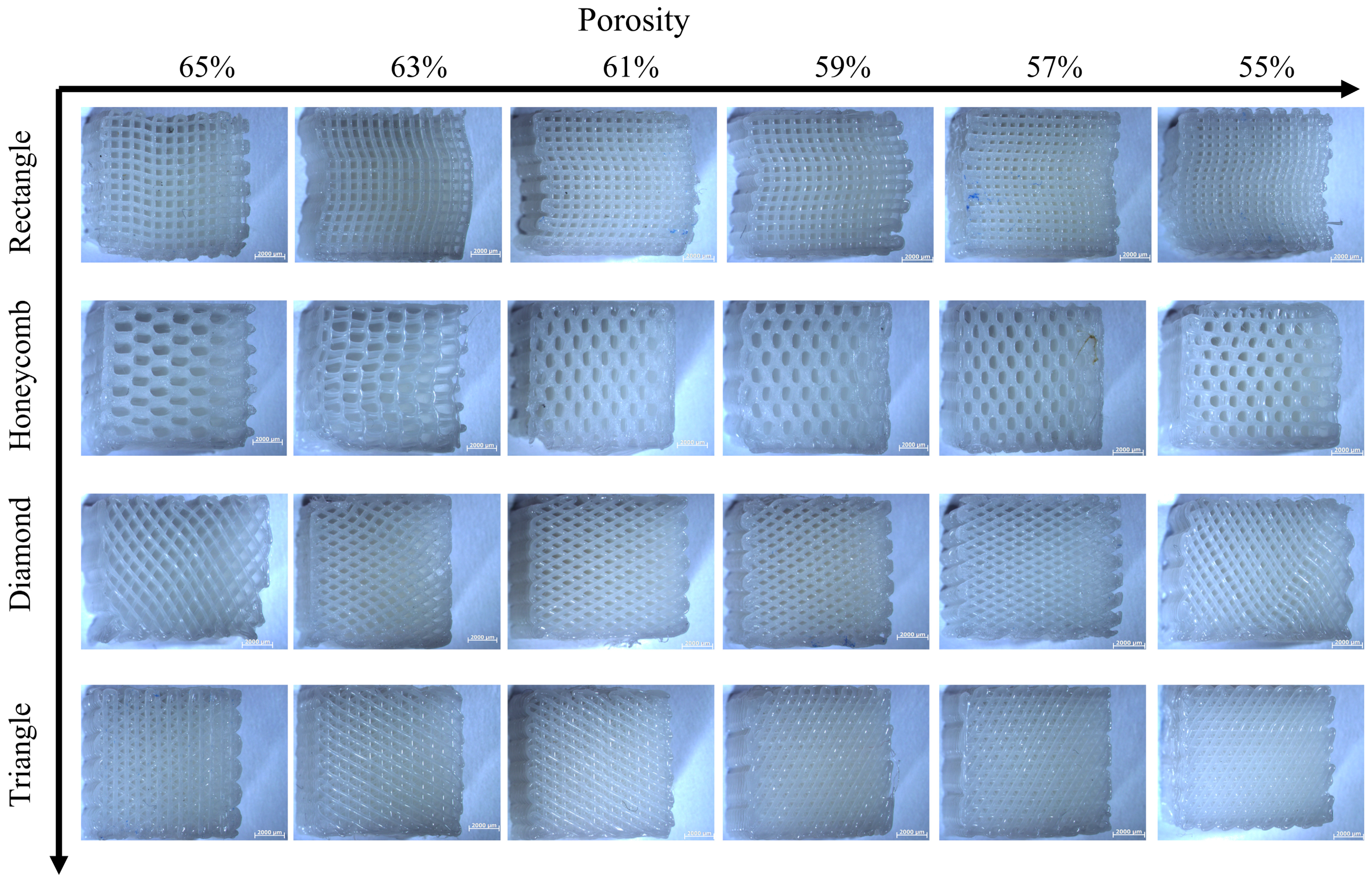Biomimetics 08 00166 g009 Biomimetics 08 00166 g009