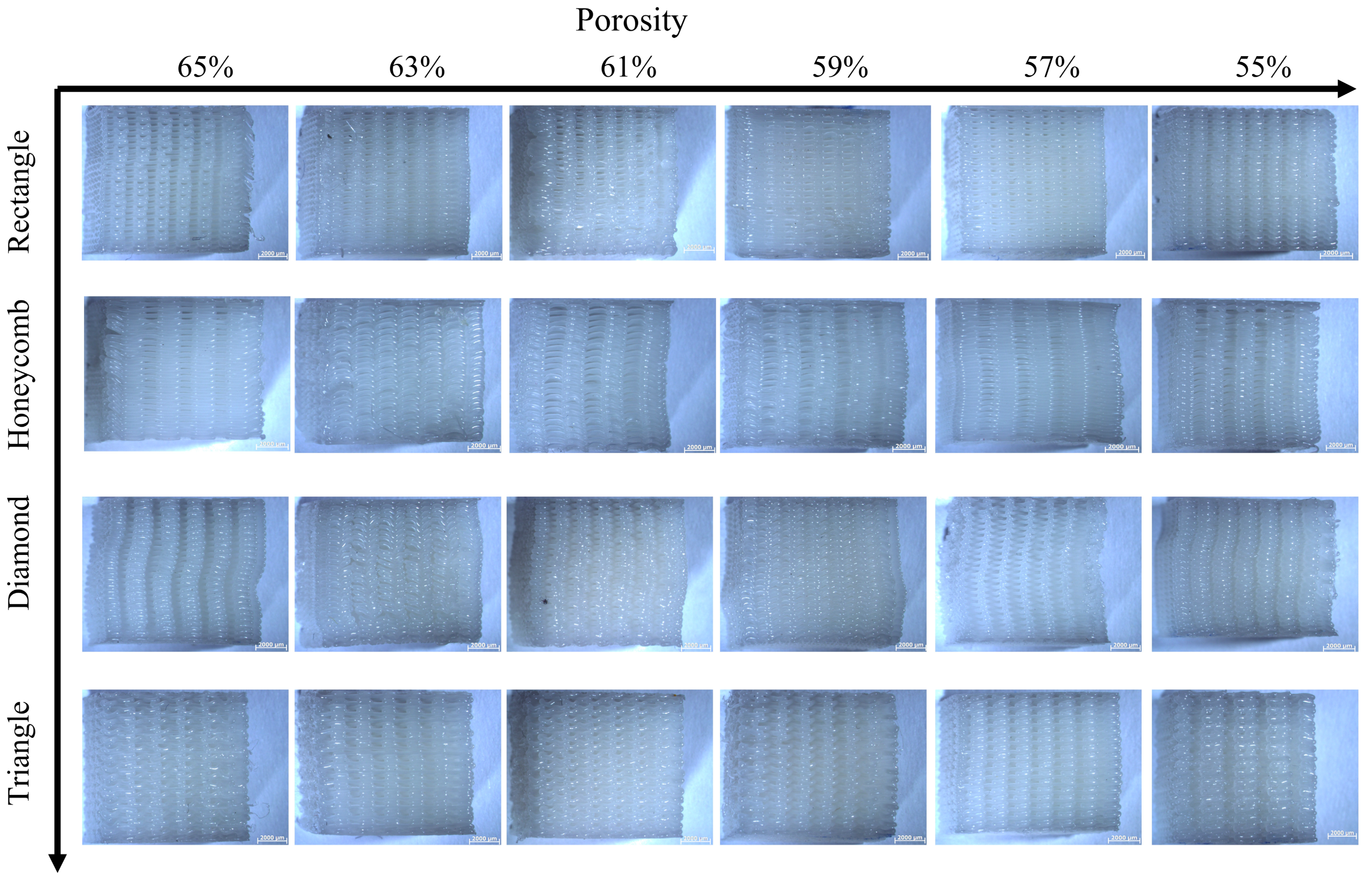 Biomimetics 08 00166 g010 Biomimetics 08 00166 g010