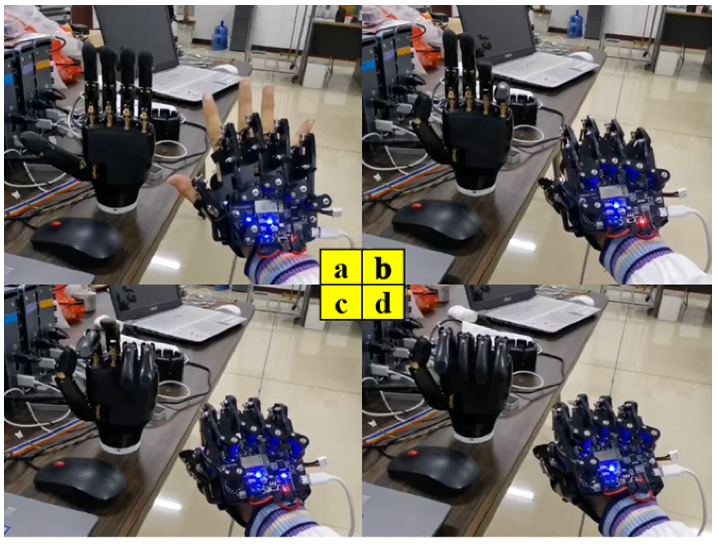 Biomimetics 08 00169 g012