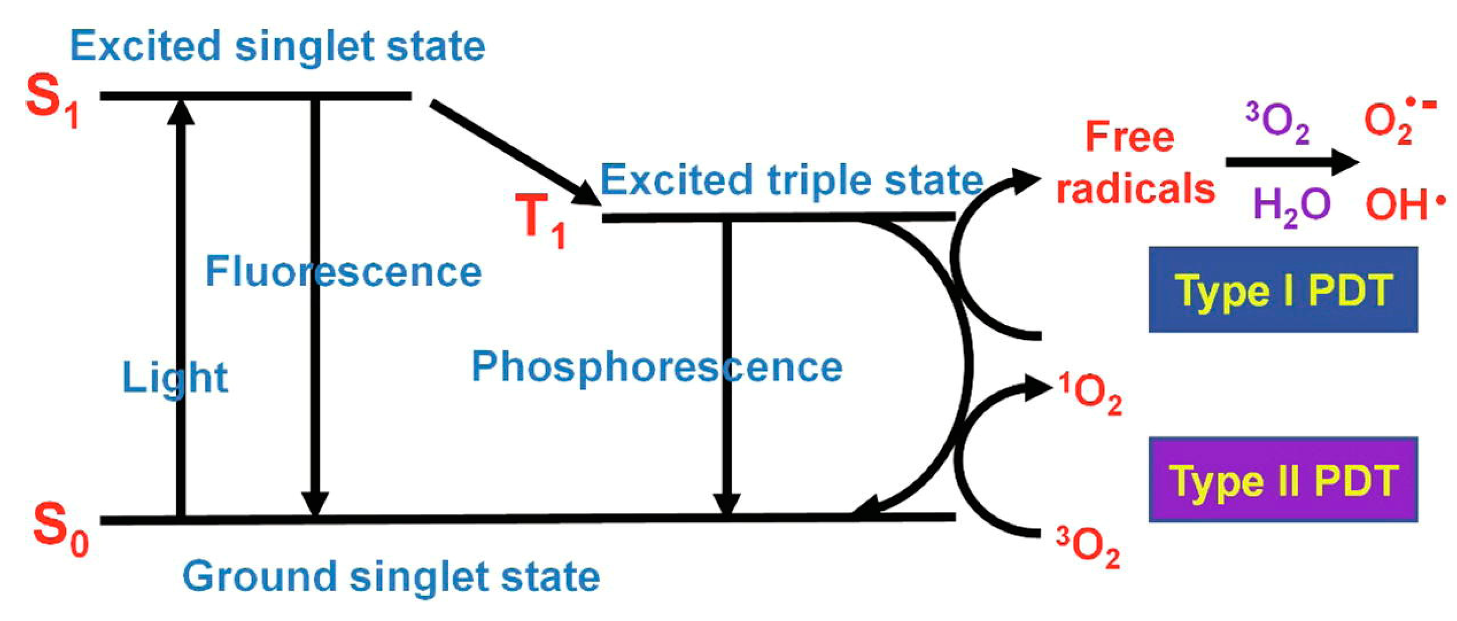Biomimetics 08 00171 g011 Biomimetics 08 00171 g011