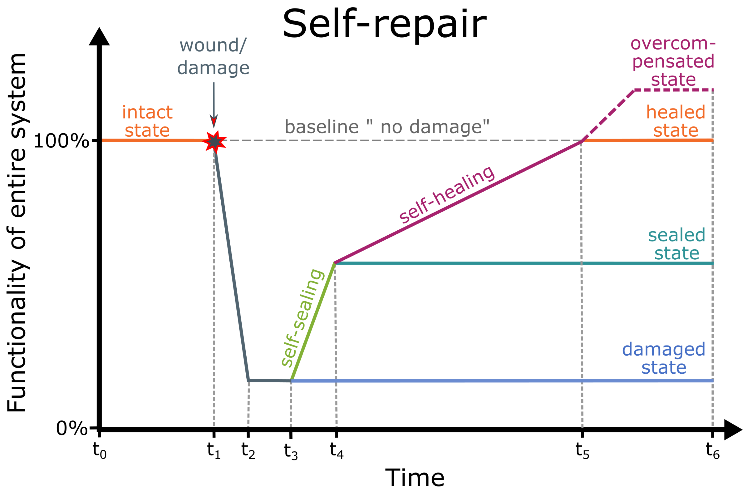 Biomimetics 08 00173 g011 Biomimetics 08 00173 g011