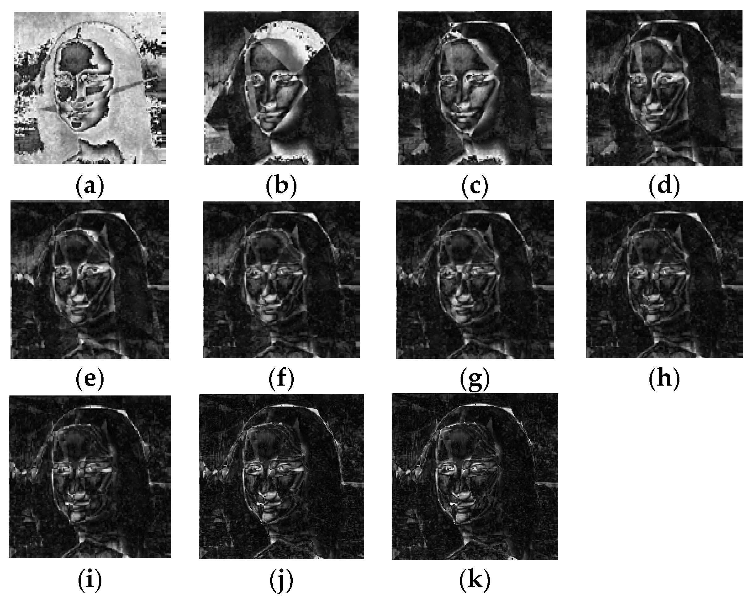 Biomimetics 08 00174 g010 550