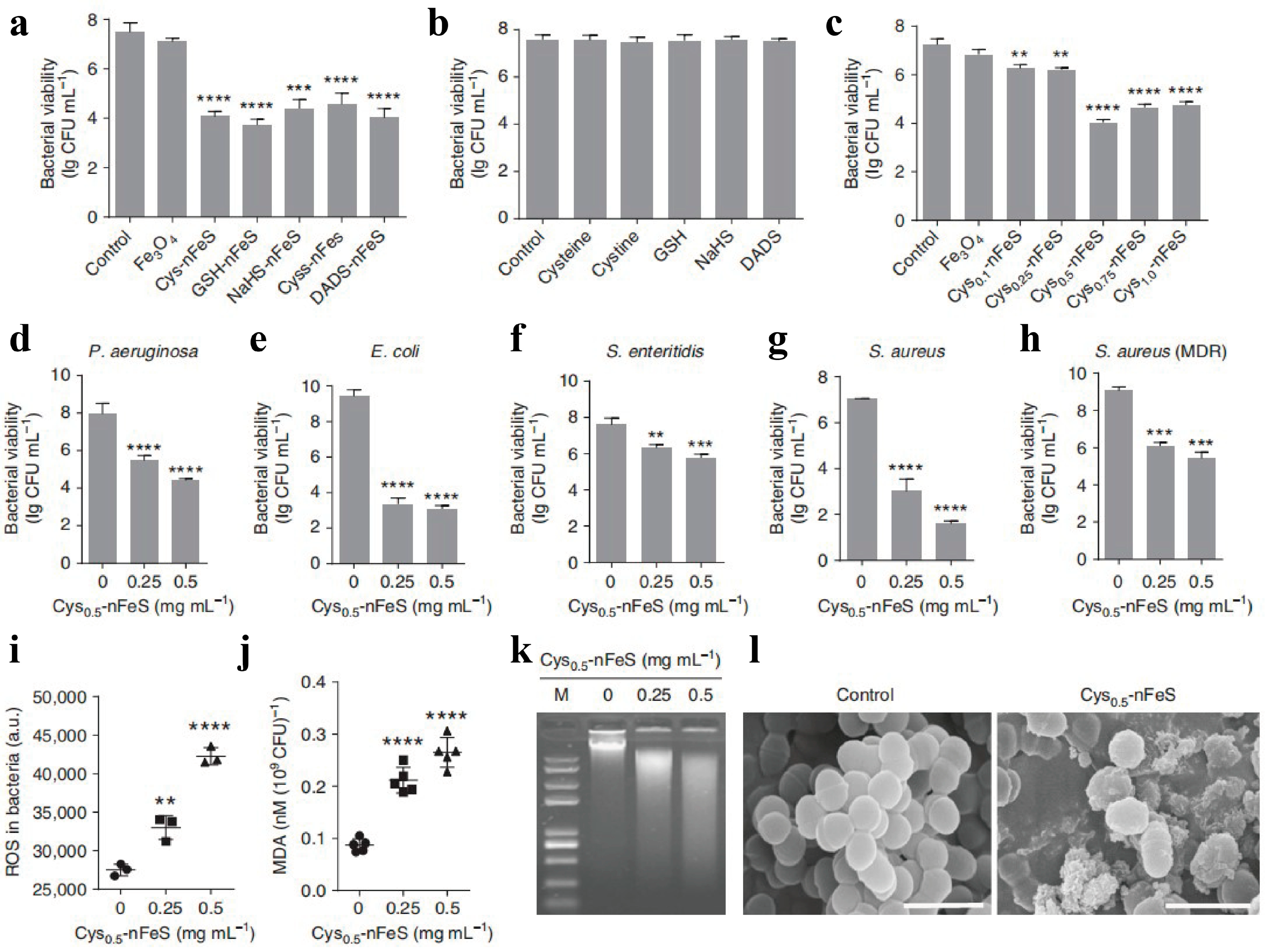 Biomimetics 08 00177 g003