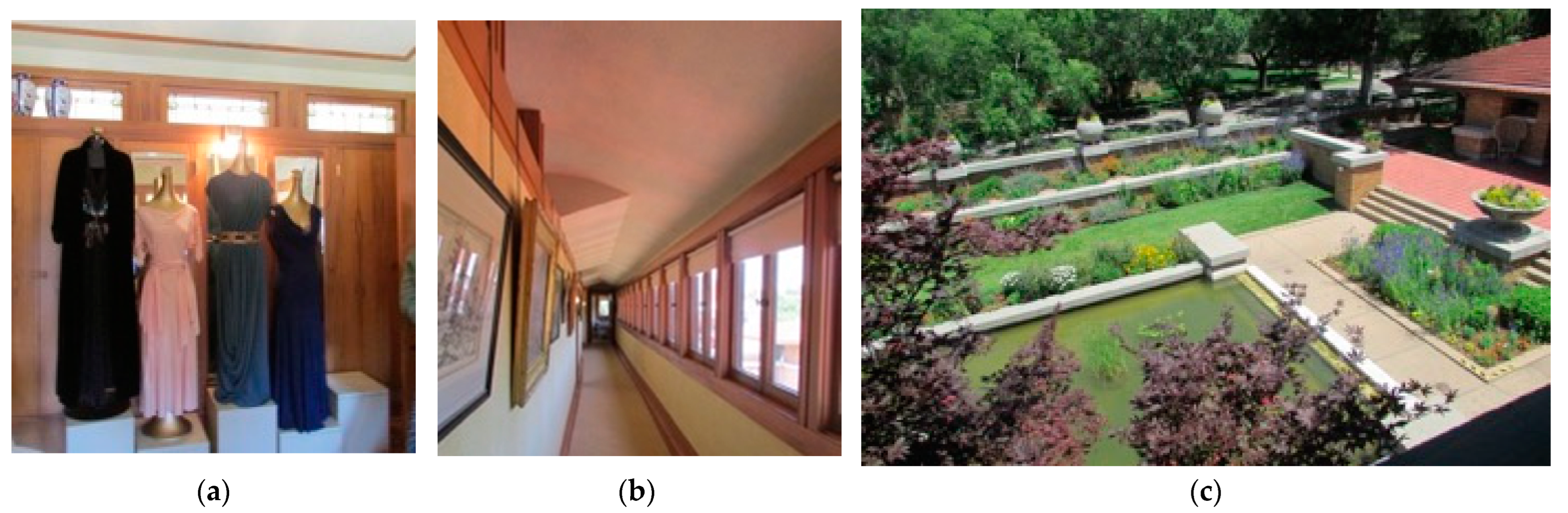Biomimetics 08 00178 g011 Biomimetics 08 00178 g011