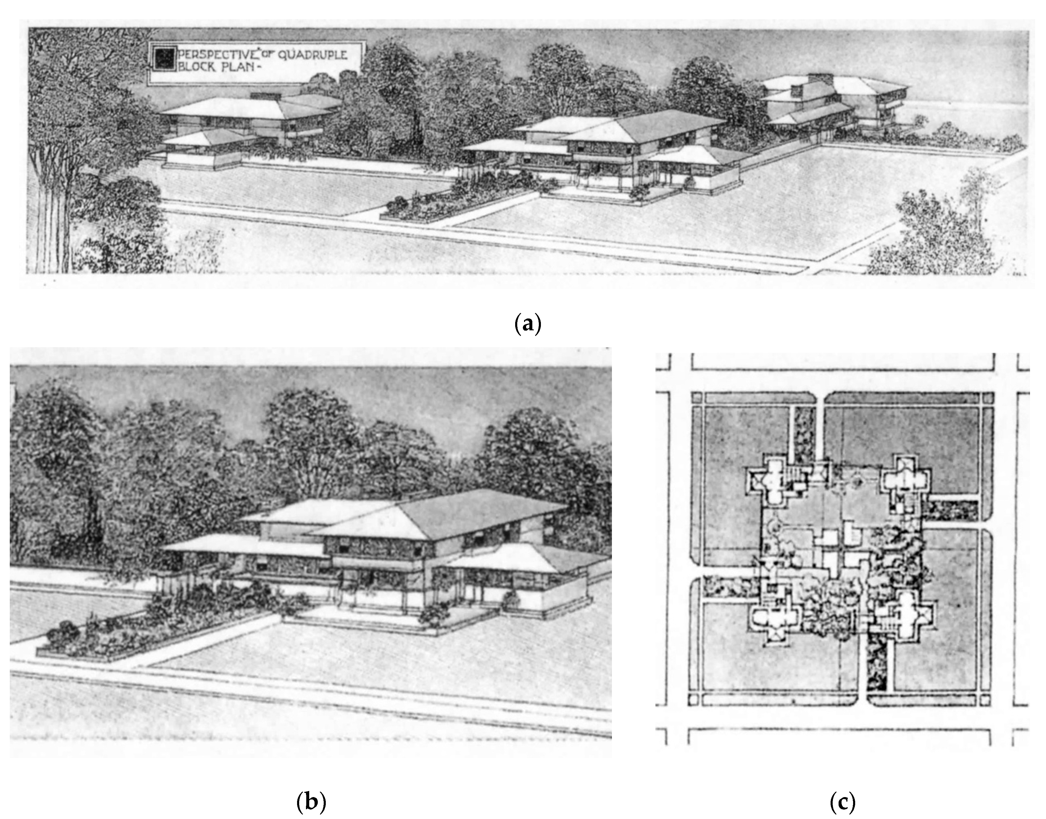 Biomimetics 08 00178 g013 Biomimetics 08 00178 g013