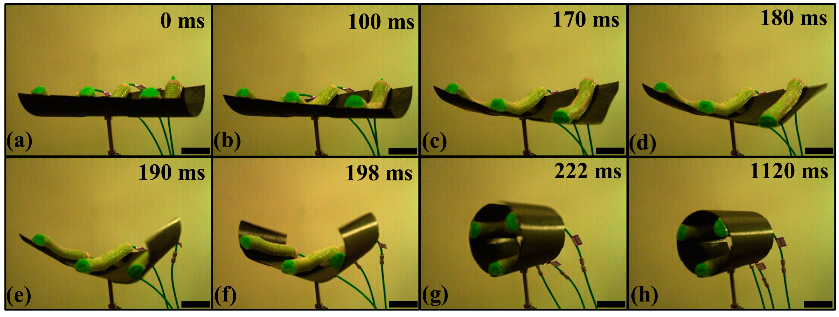 Biomimetics 08 00181 g008