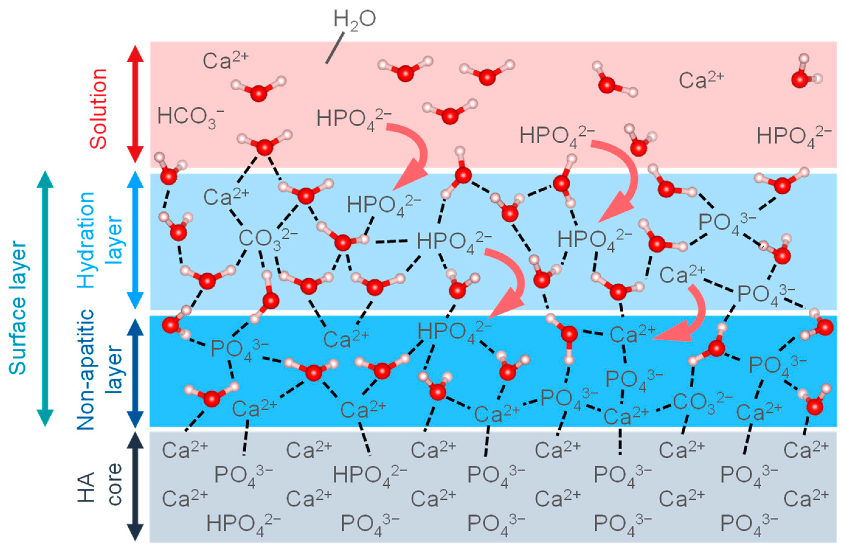 Biomimetics 08 00184 g006