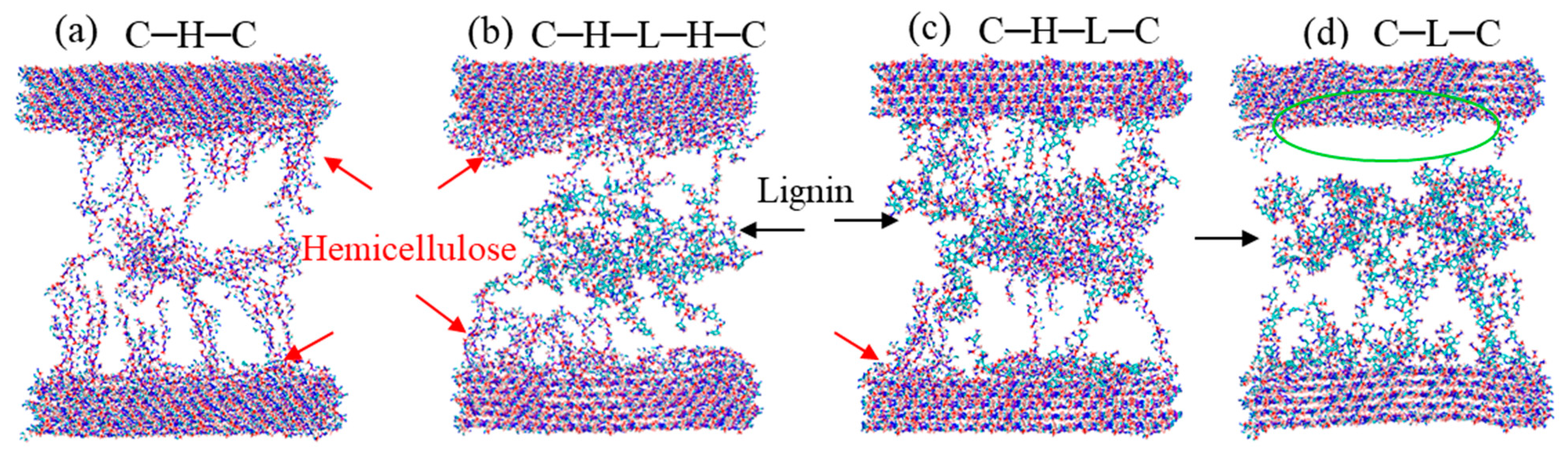 Biomimetics 08 00188 g009