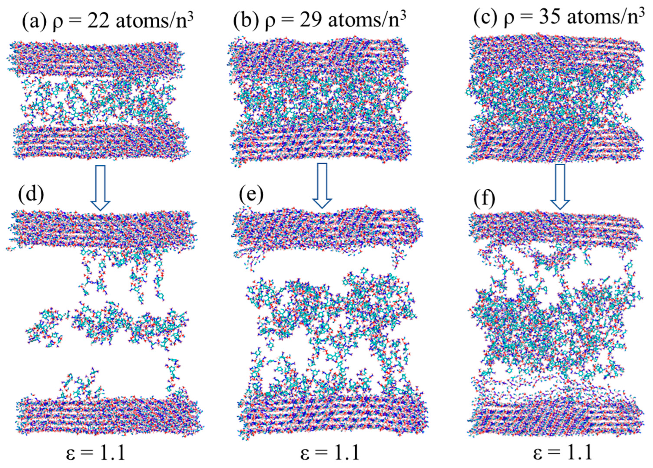 Biomimetics 08 00188 g010