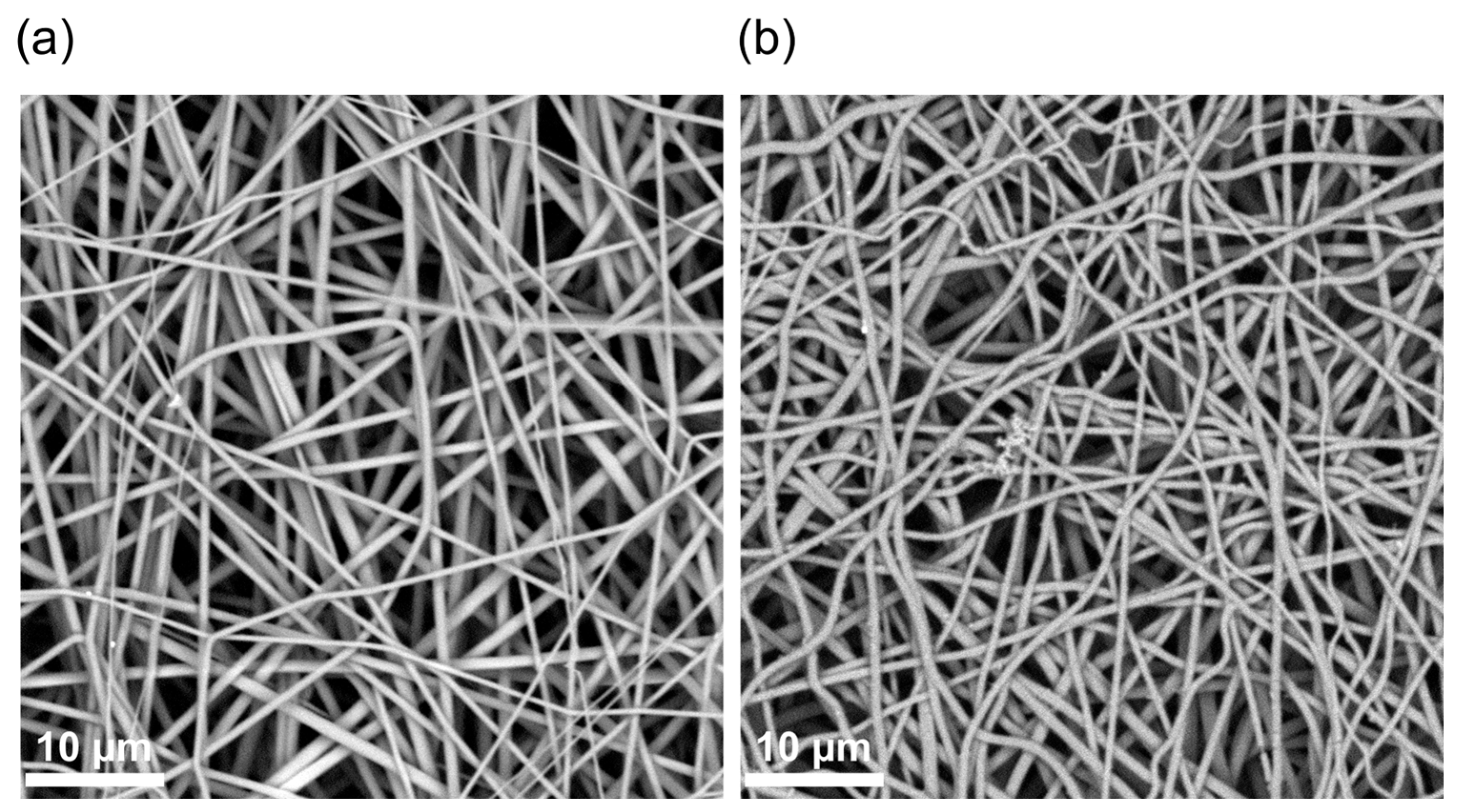 Biomimetics 08 00189 g001