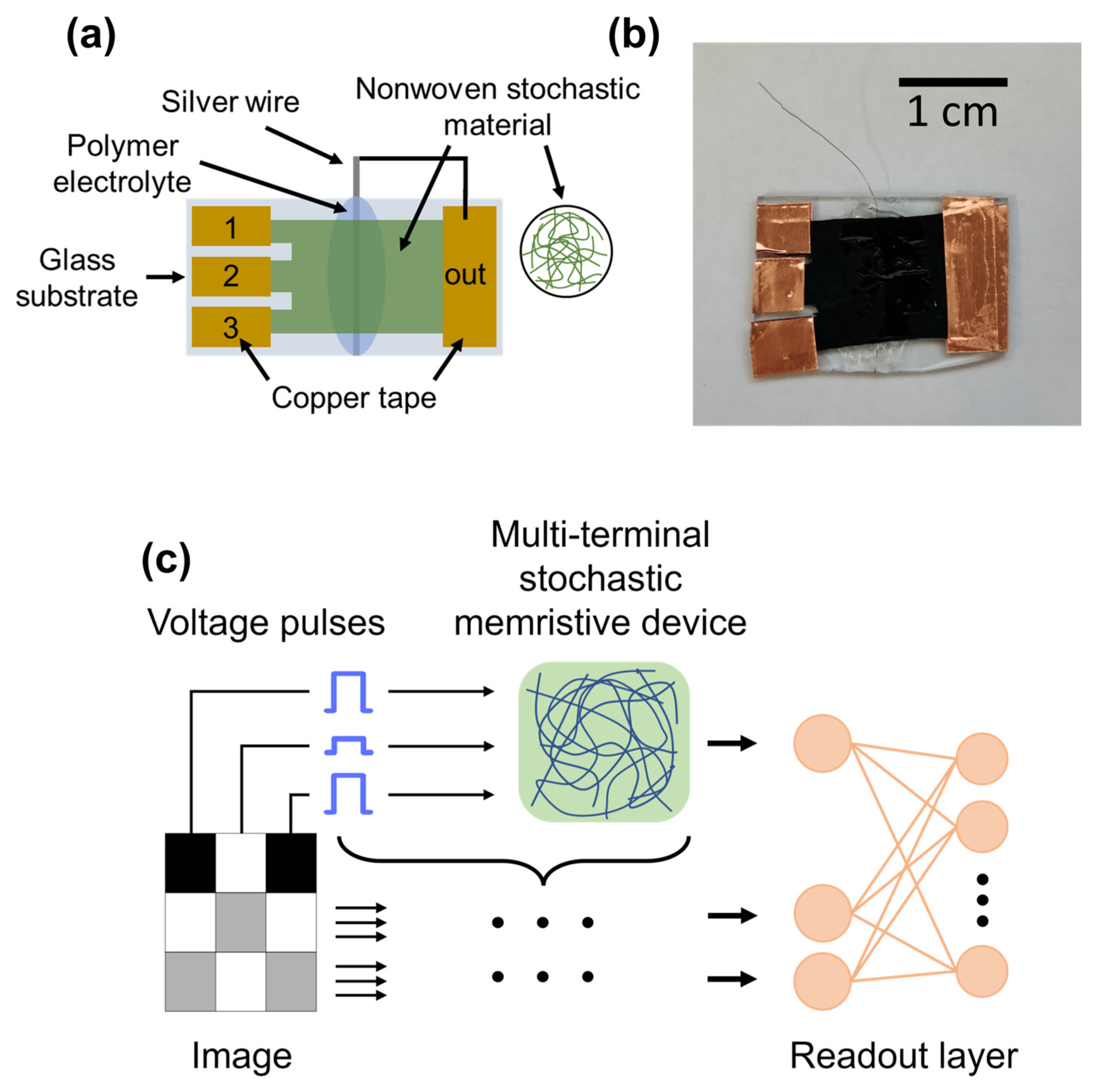 Biomimetics 08 00189 g003