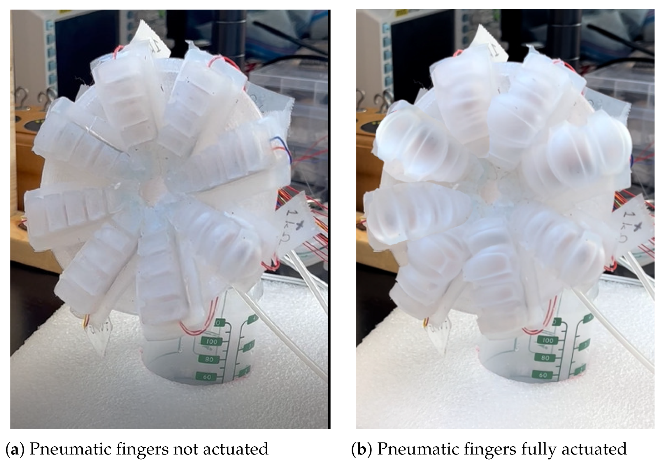Biomimetics 08 00190 g008 Biomimetics 08 00190 g008