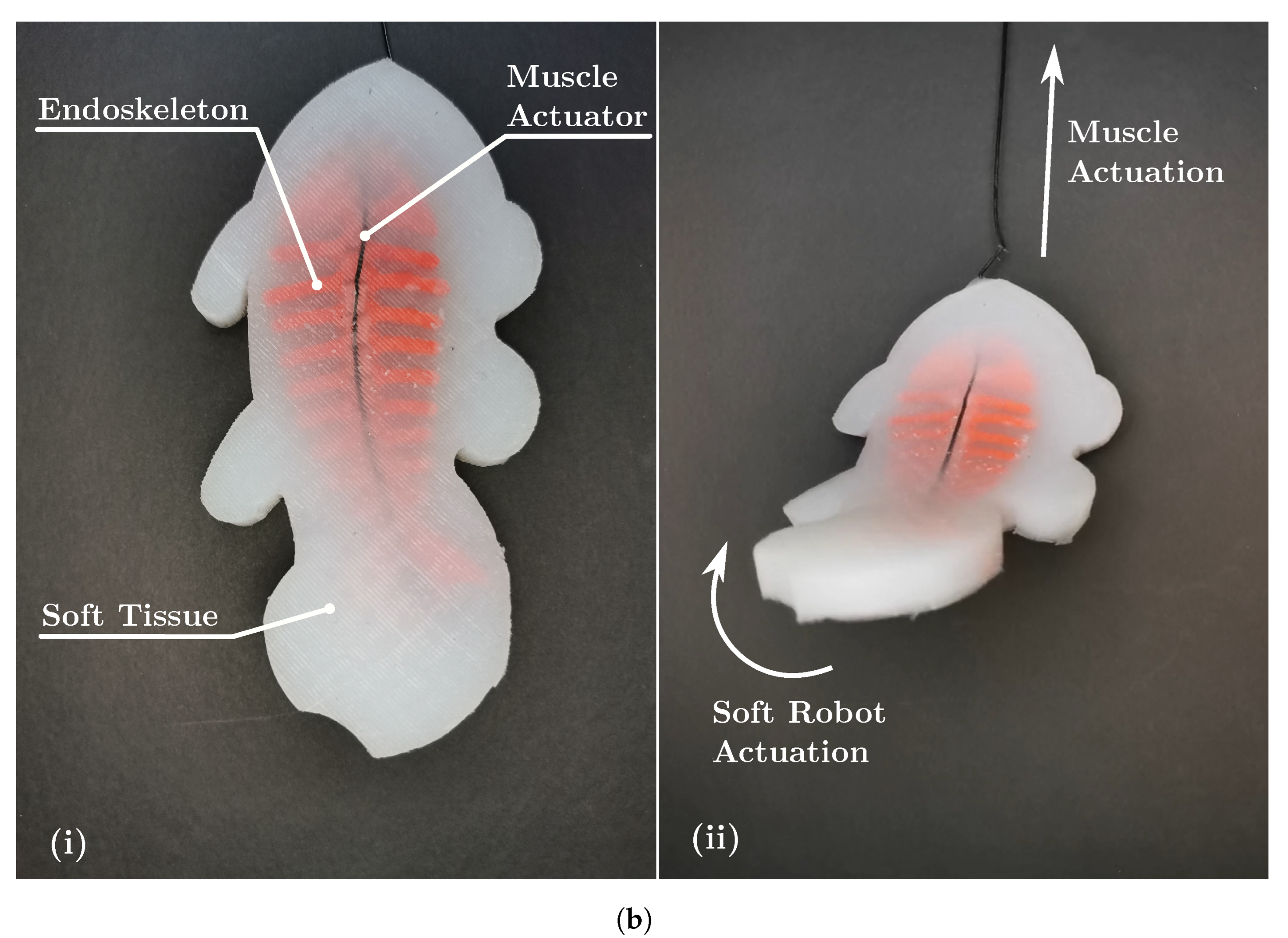 Biomimetics 08 00192 g004b Biomimetics 08 00192 g004b