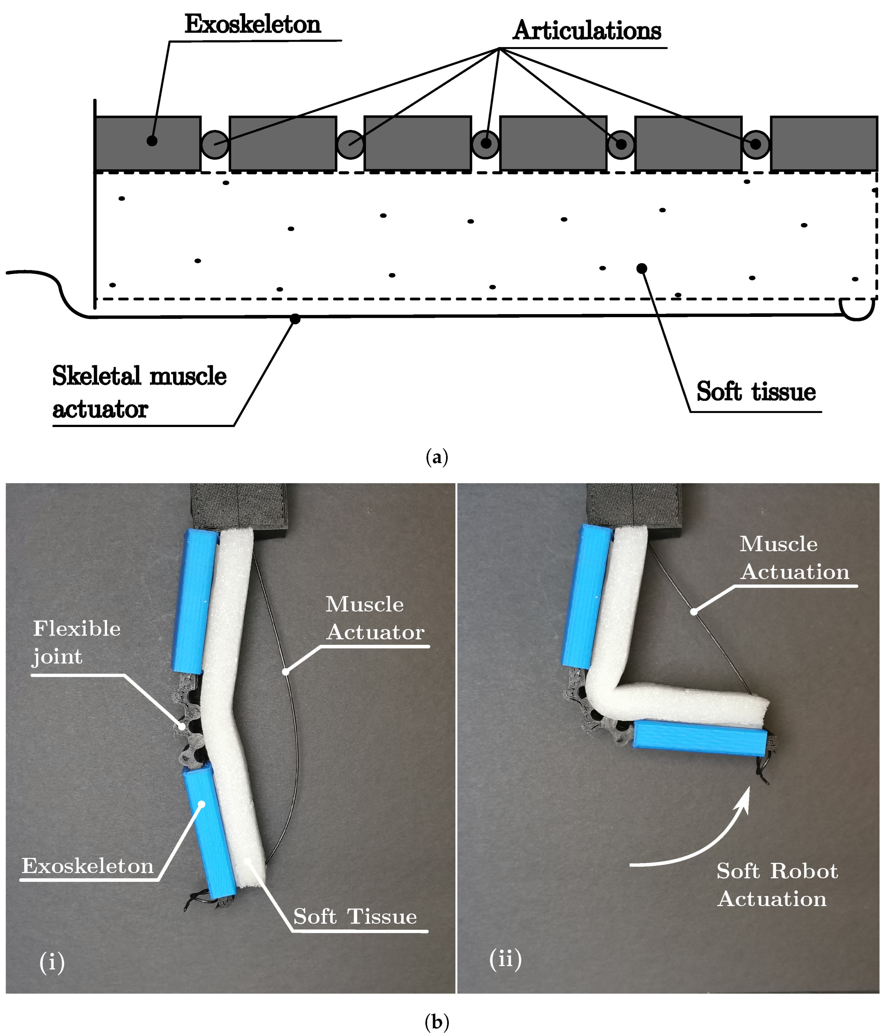 Biomimetics 08 00192 g007 Biomimetics 08 00192 g007