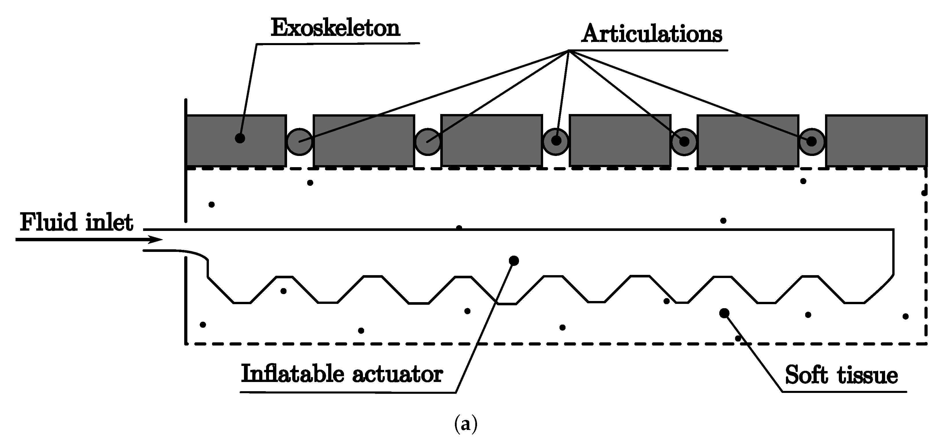 Biomimetics 08 00192 g008a Biomimetics 08 00192 g008a