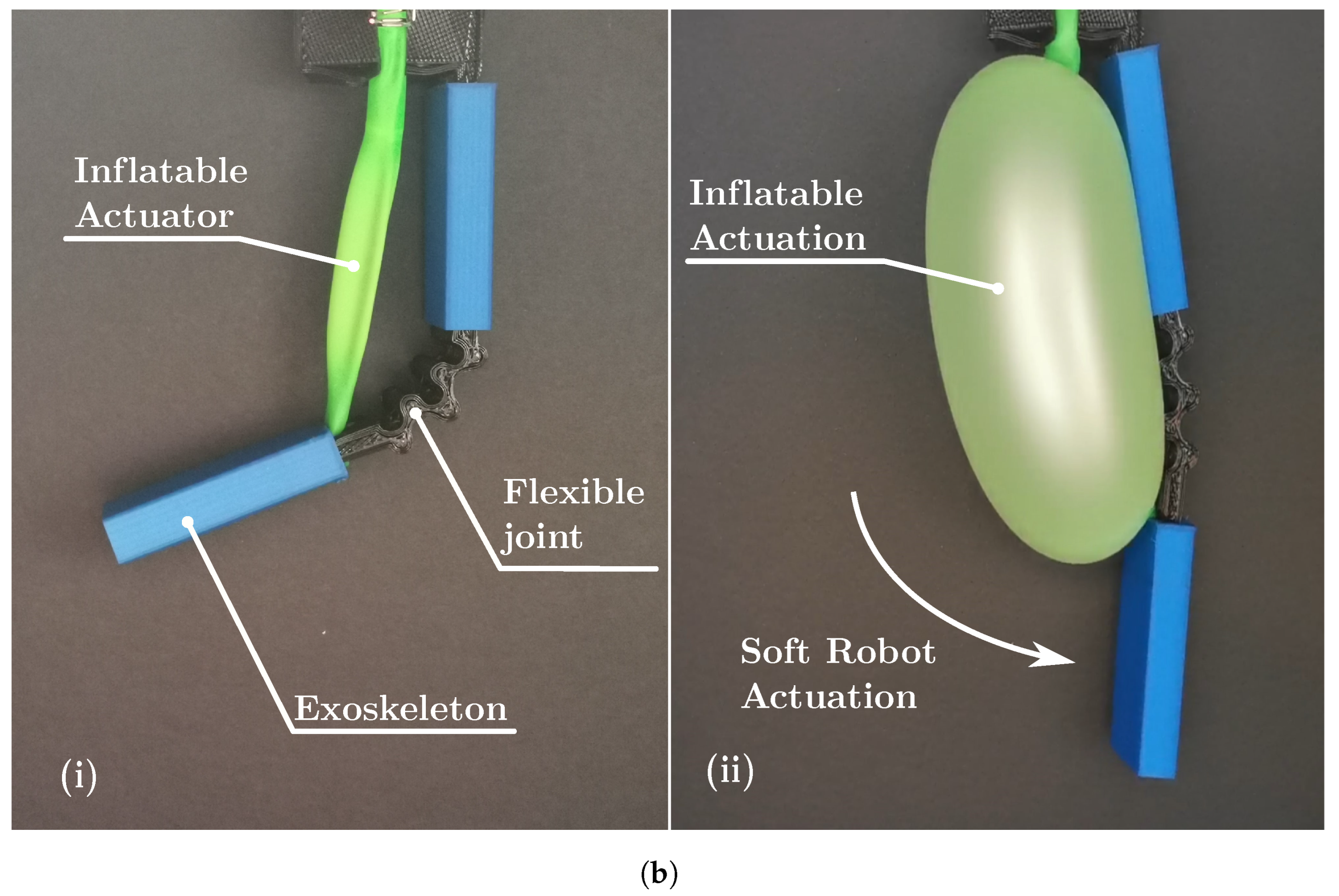 Biomimetics 08 00192 g008b Biomimetics 08 00192 g008b