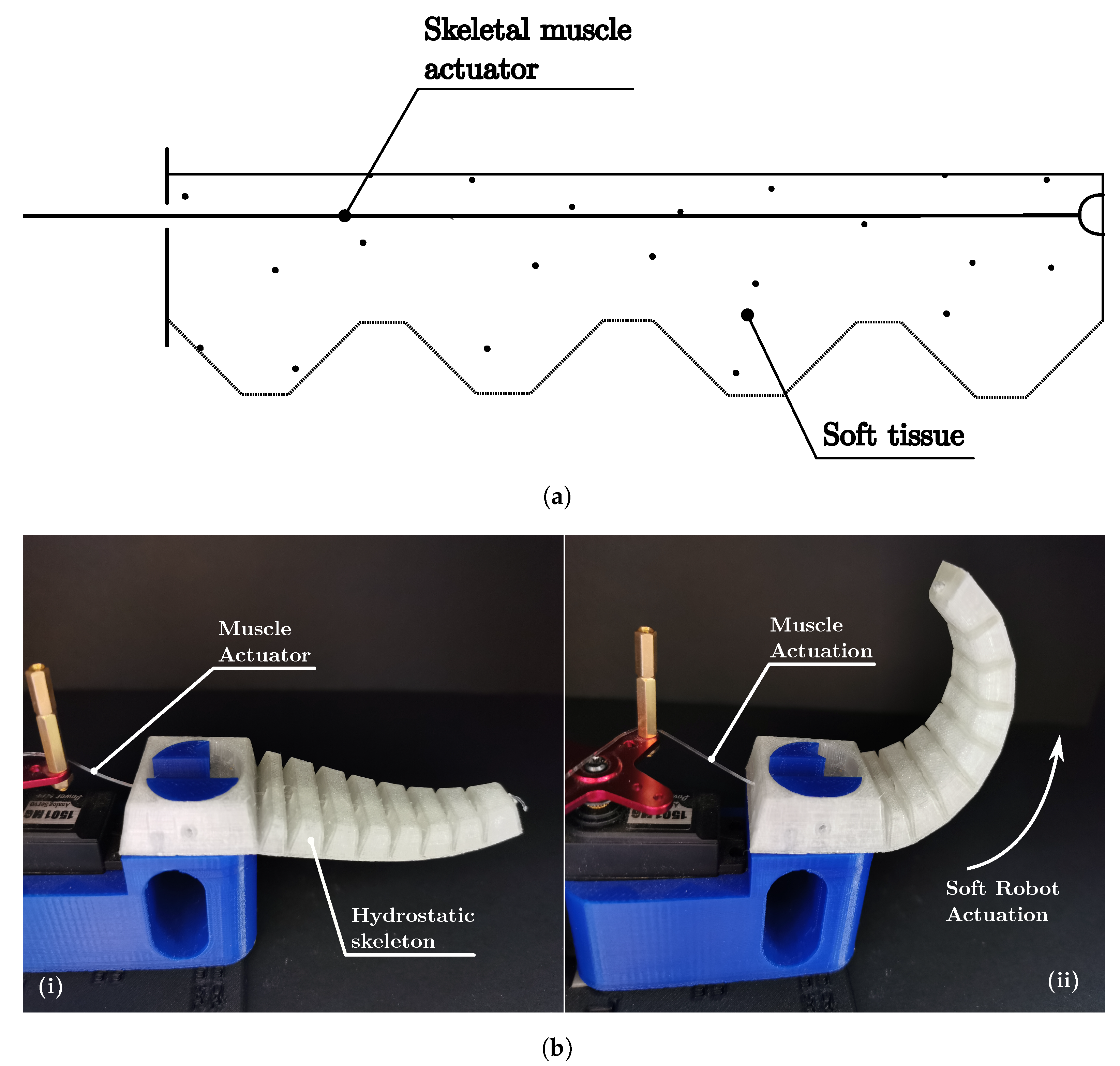 Biomimetics 08 00192 g010 Biomimetics 08 00192 g010