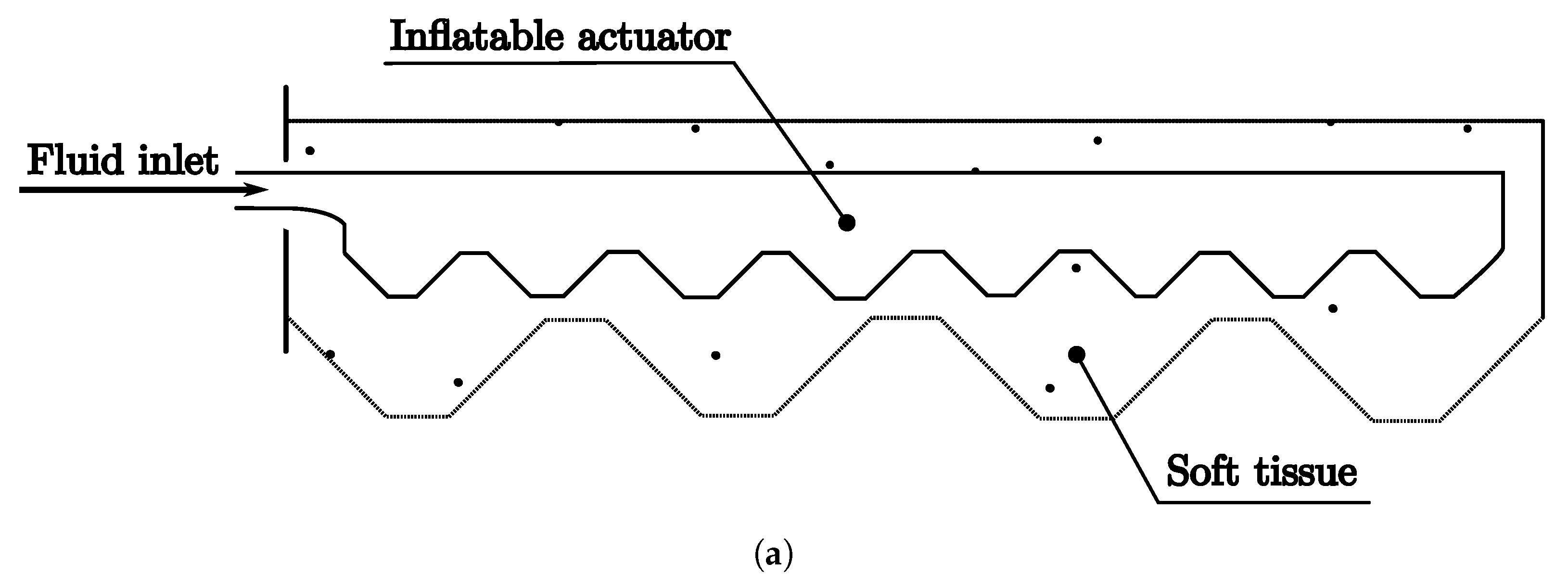 Biomimetics 08 00192 g011a Biomimetics 08 00192 g011a