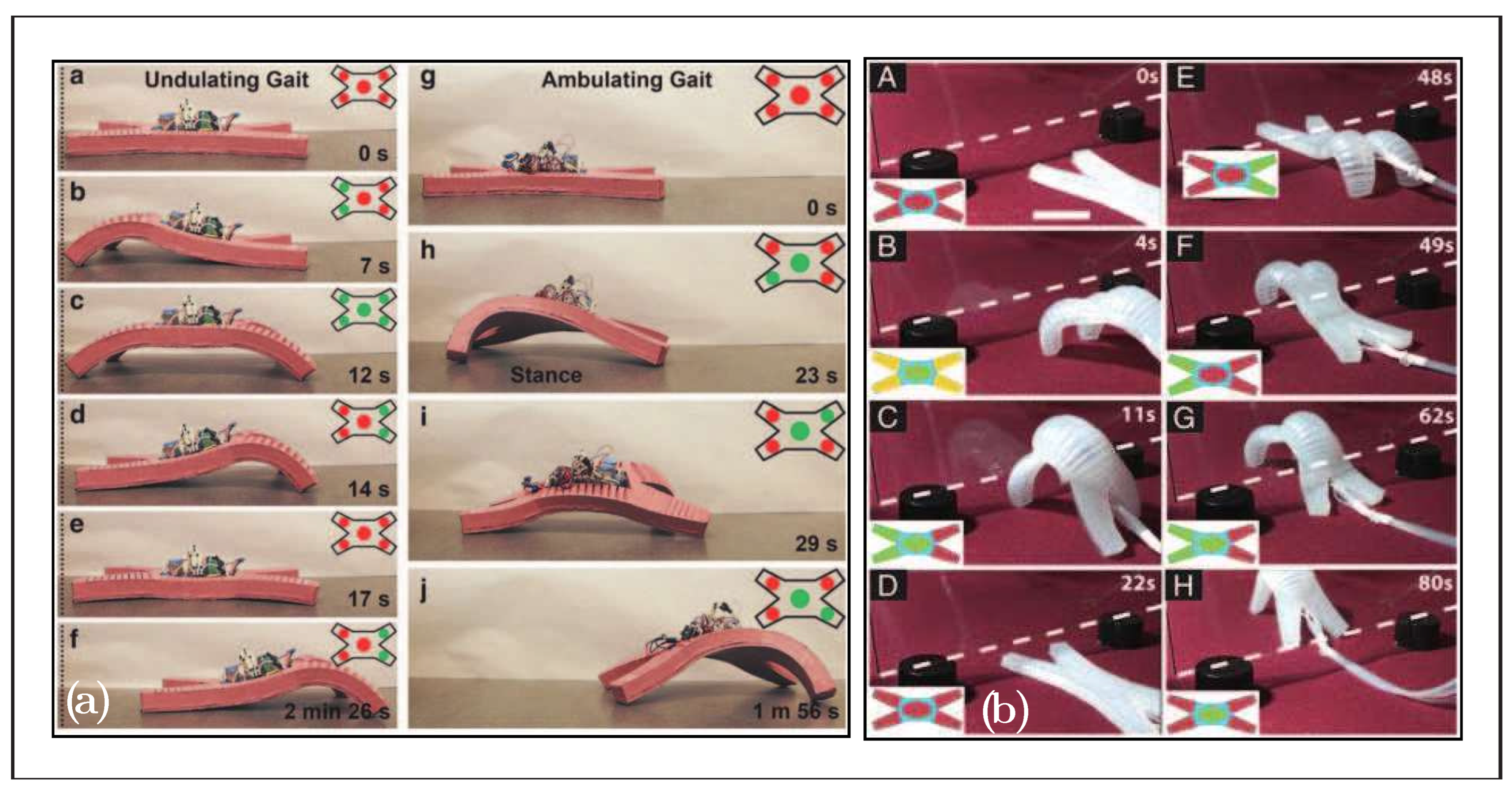 Biomimetics 08 00192 g012 Biomimetics 08 00192 g012
