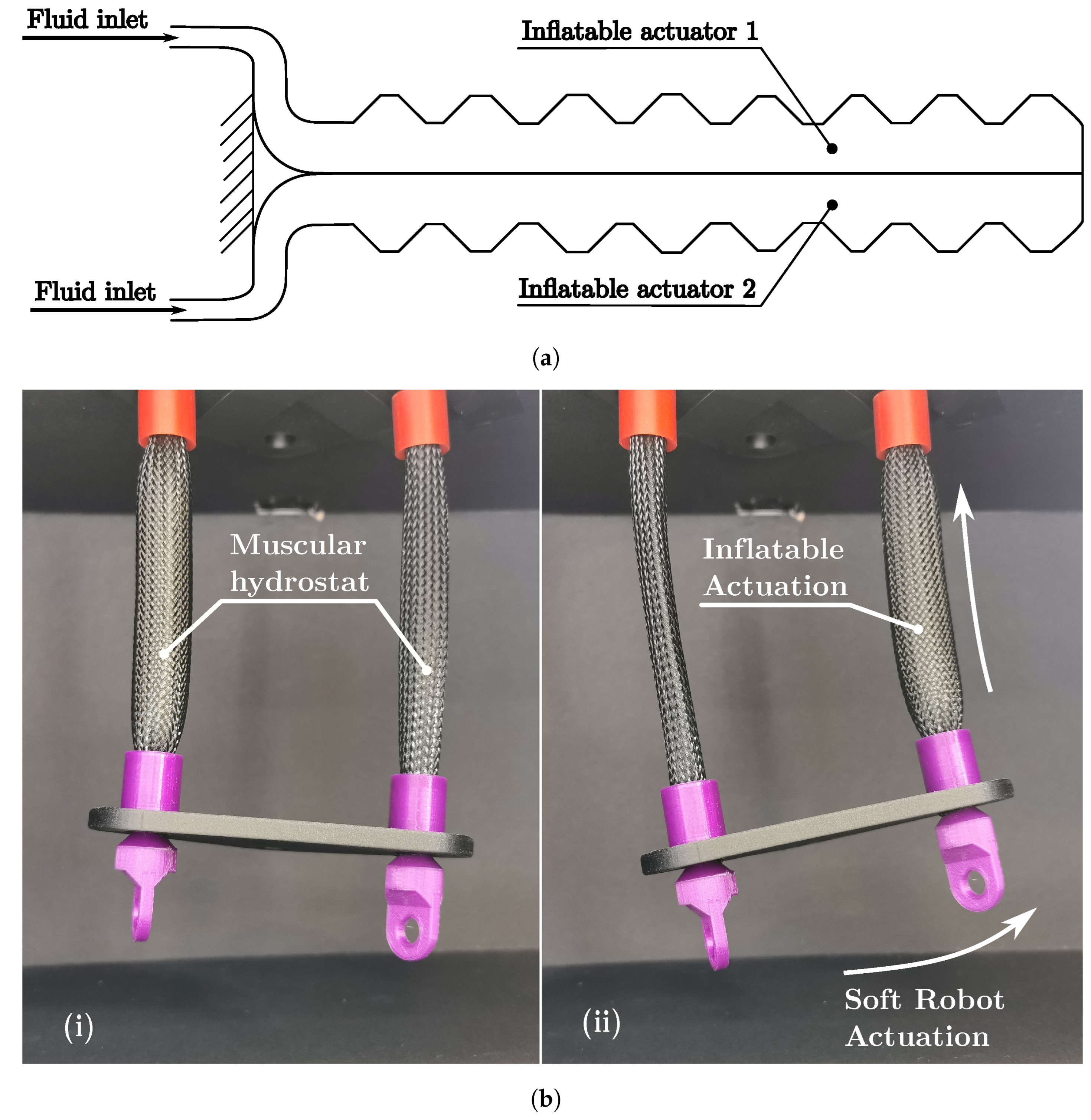 Biomimetics 08 00192 g014 Biomimetics 08 00192 g014