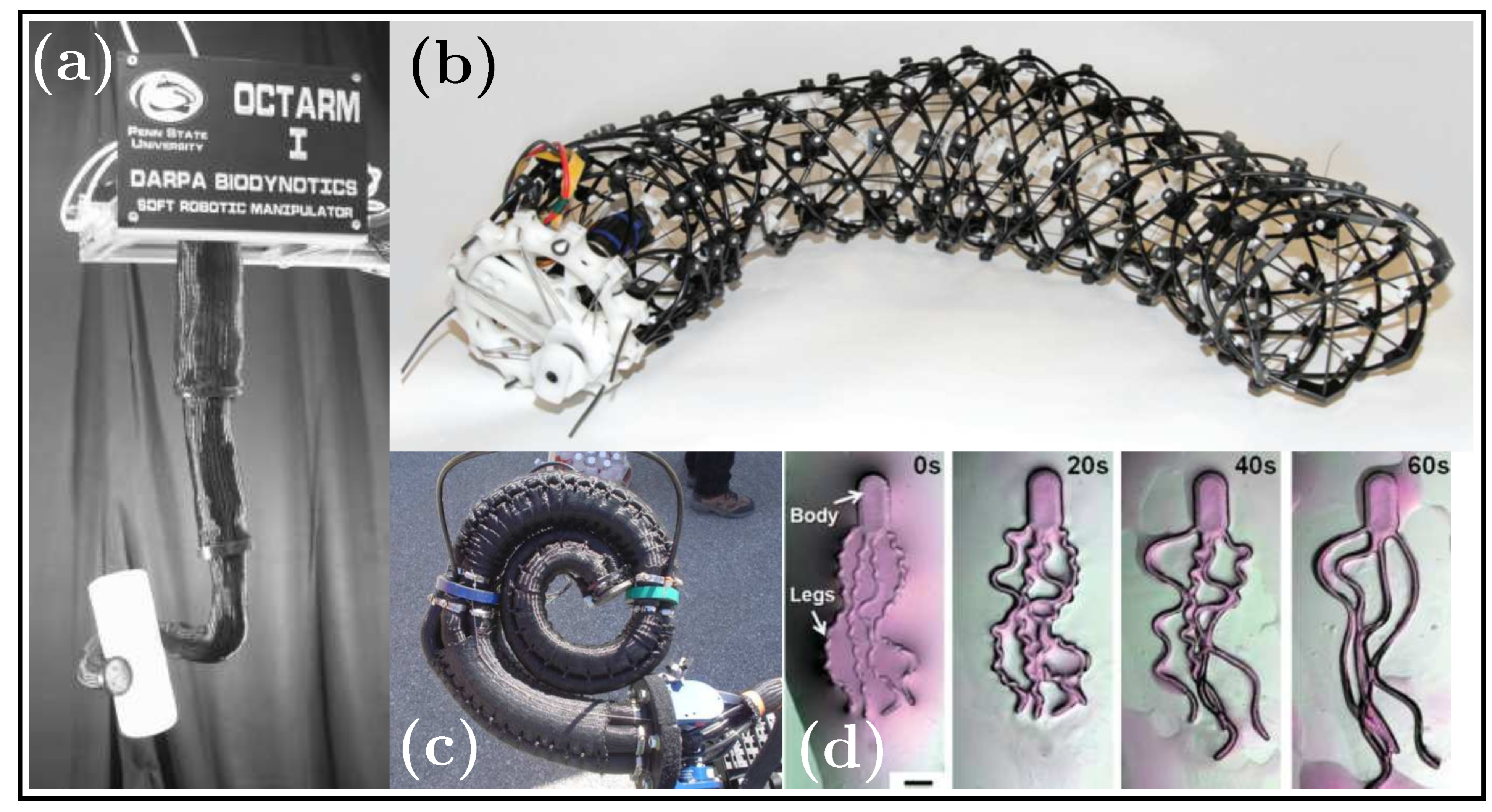 Biomimetics 08 00192 g015 Biomimetics 08 00192 g015