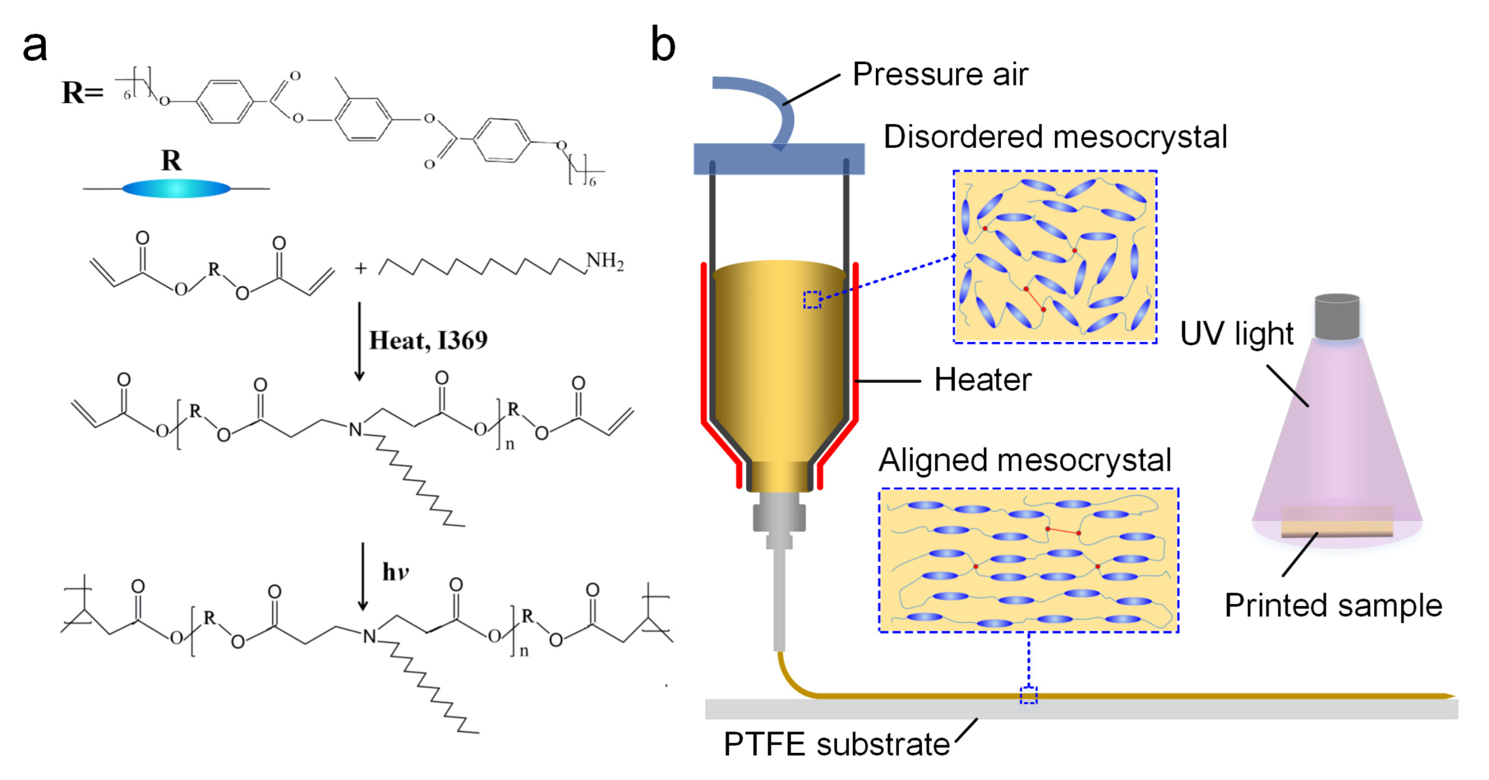 Biomimetics 08 00196 g001 Biomimetics 08 00196 g001
