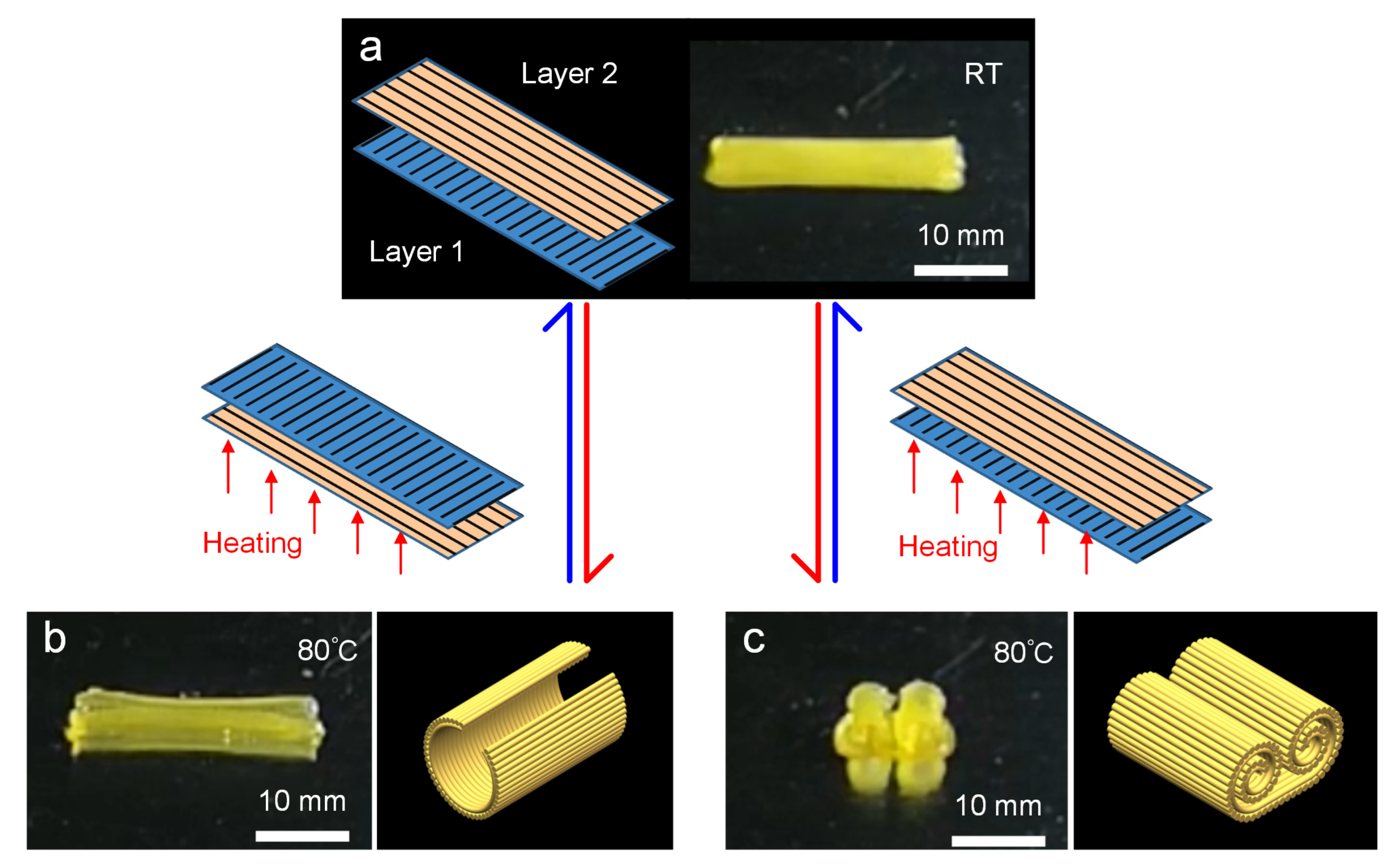 Biomimetics 08 00196 g005 Biomimetics 08 00196 g005