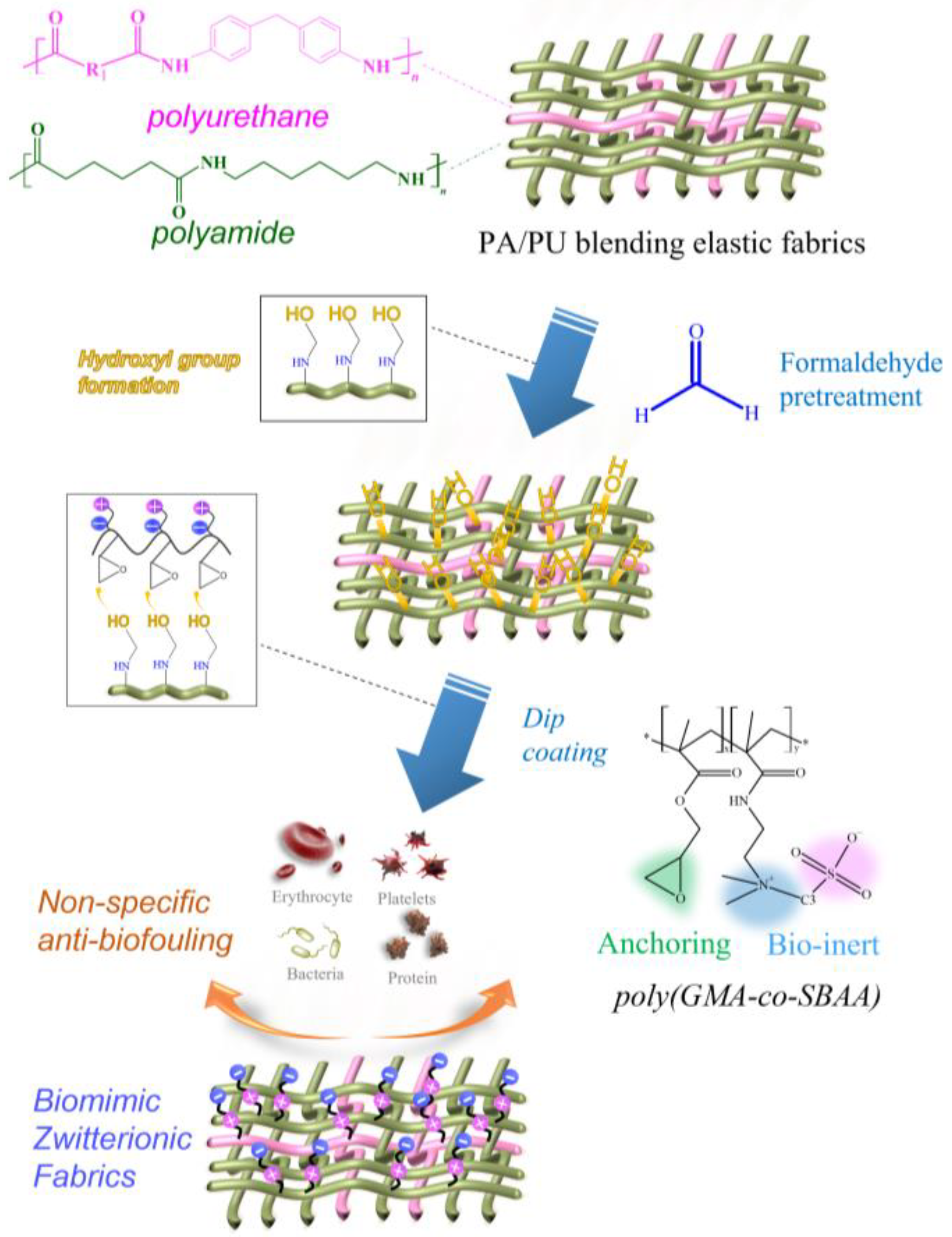 Biomimetics 08 00198 g001