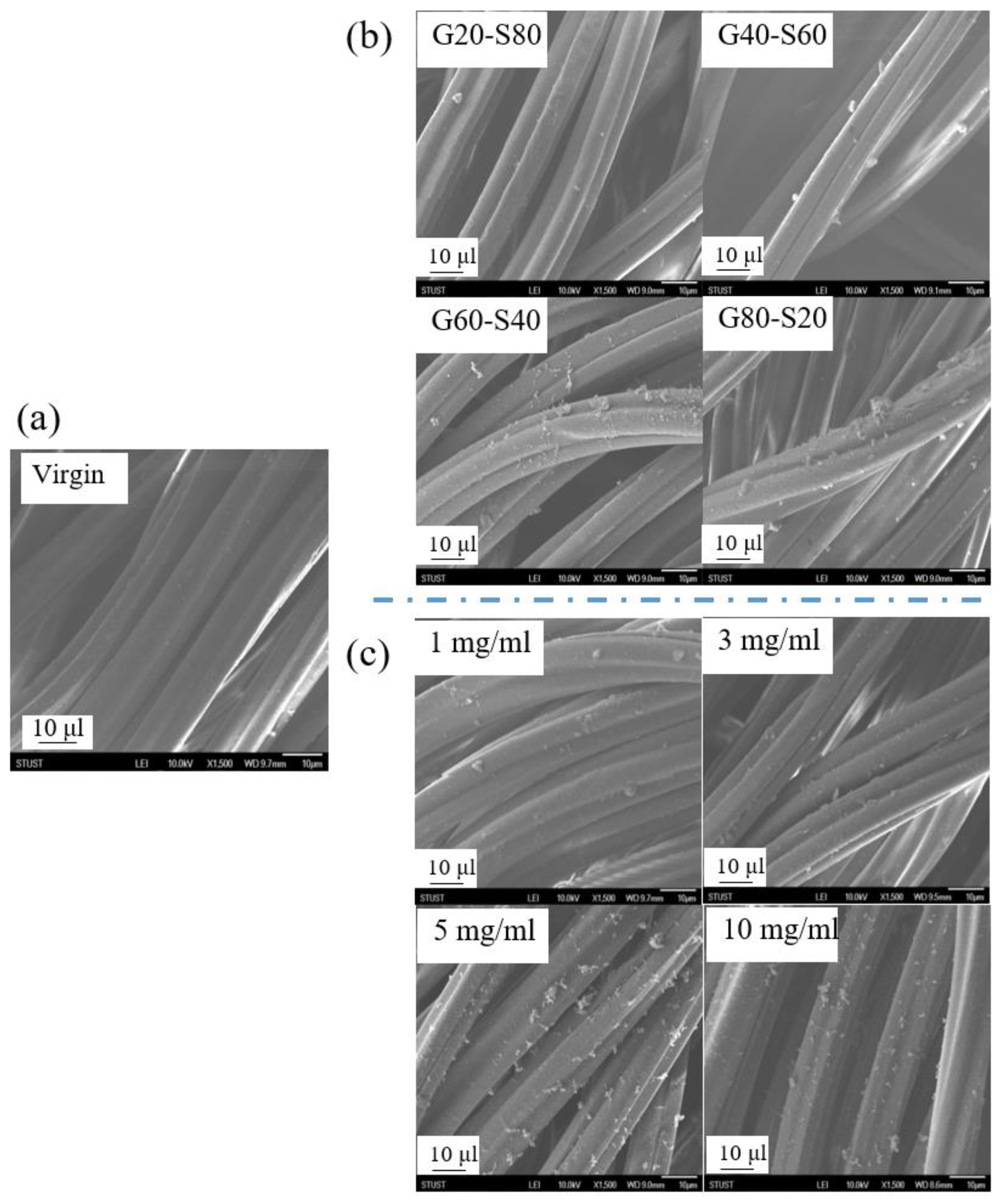 Biomimetics 08 00198 g007