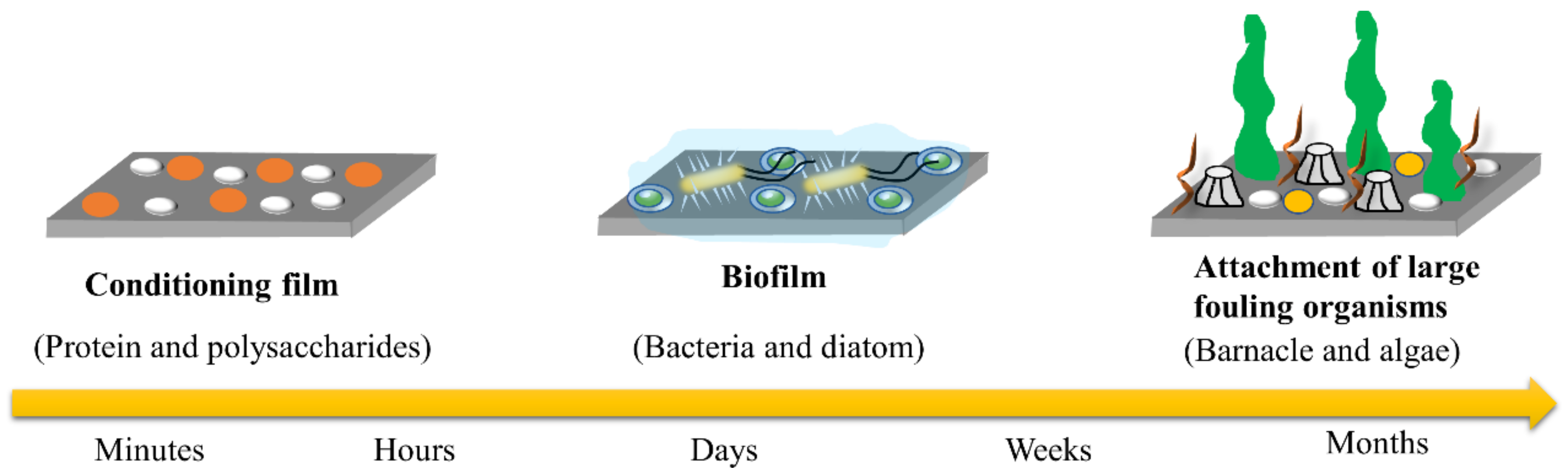 Biomimetics 08 00200 g003 Biomimetics 08 00200 g003
