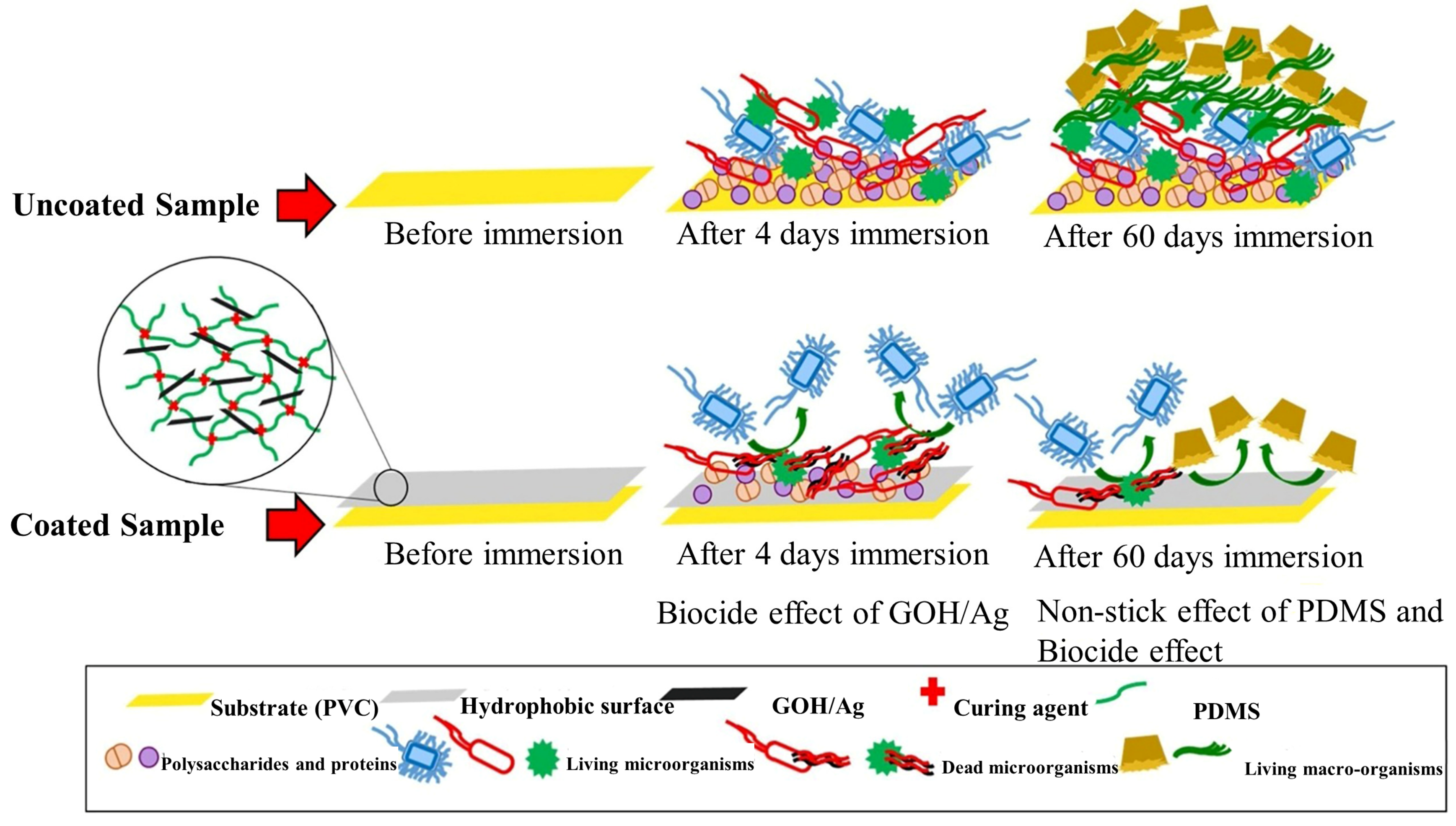 Biomimetics 08 00200 g005 Biomimetics 08 00200 g005